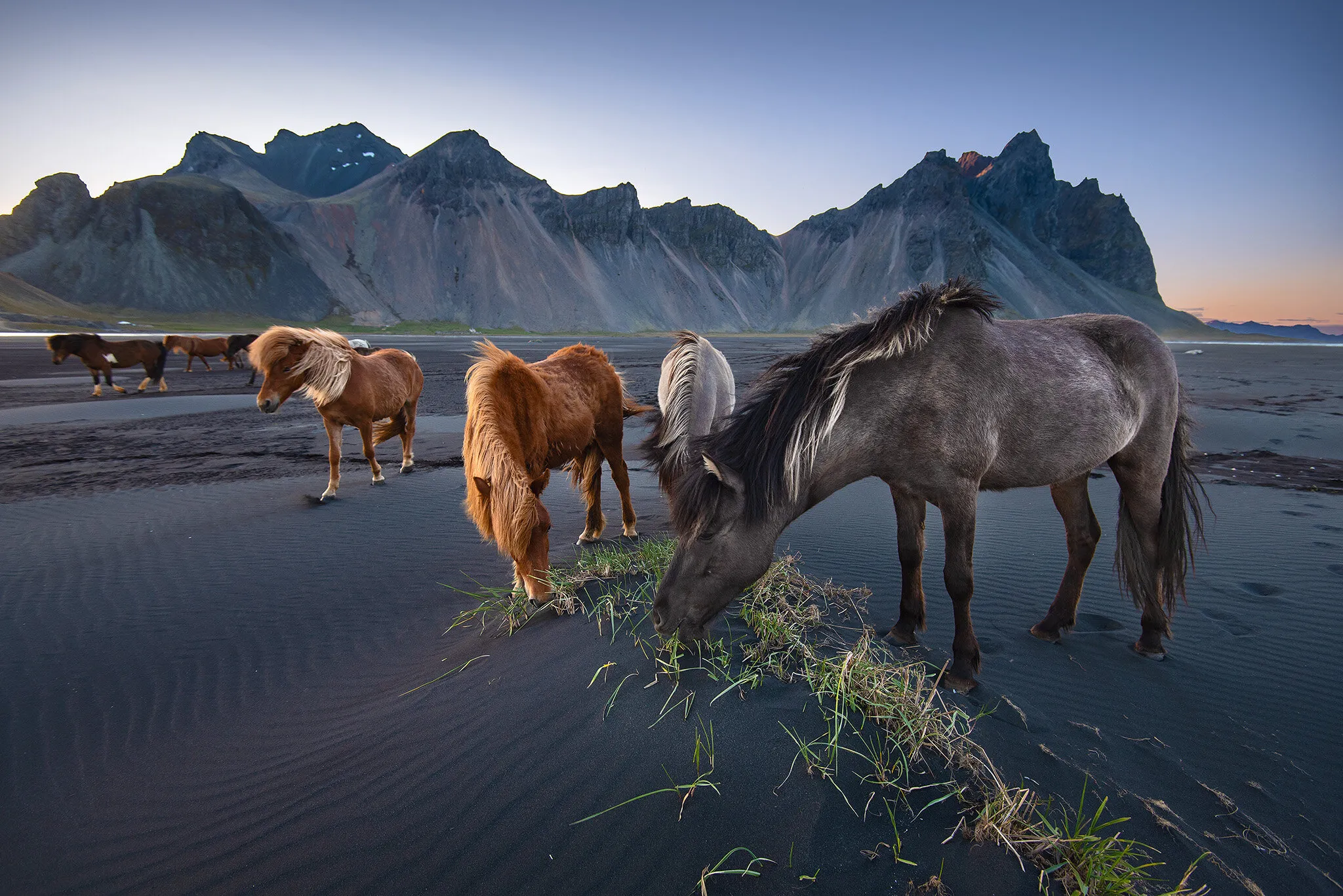 Wild Spirits
