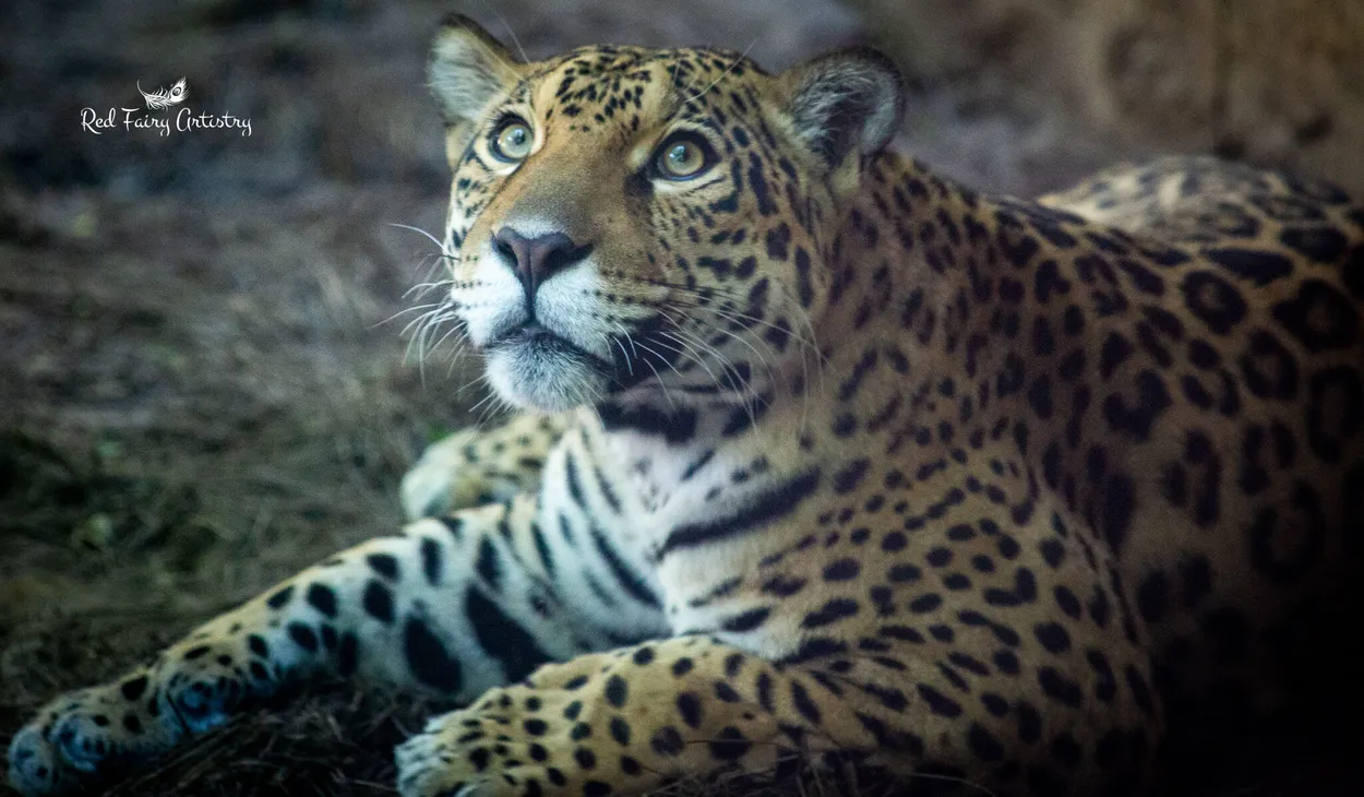 Entry 4494644