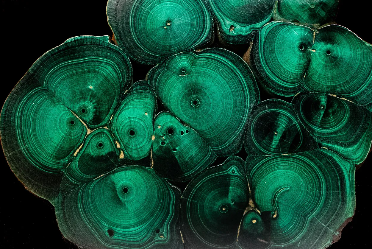 Entry 7121079