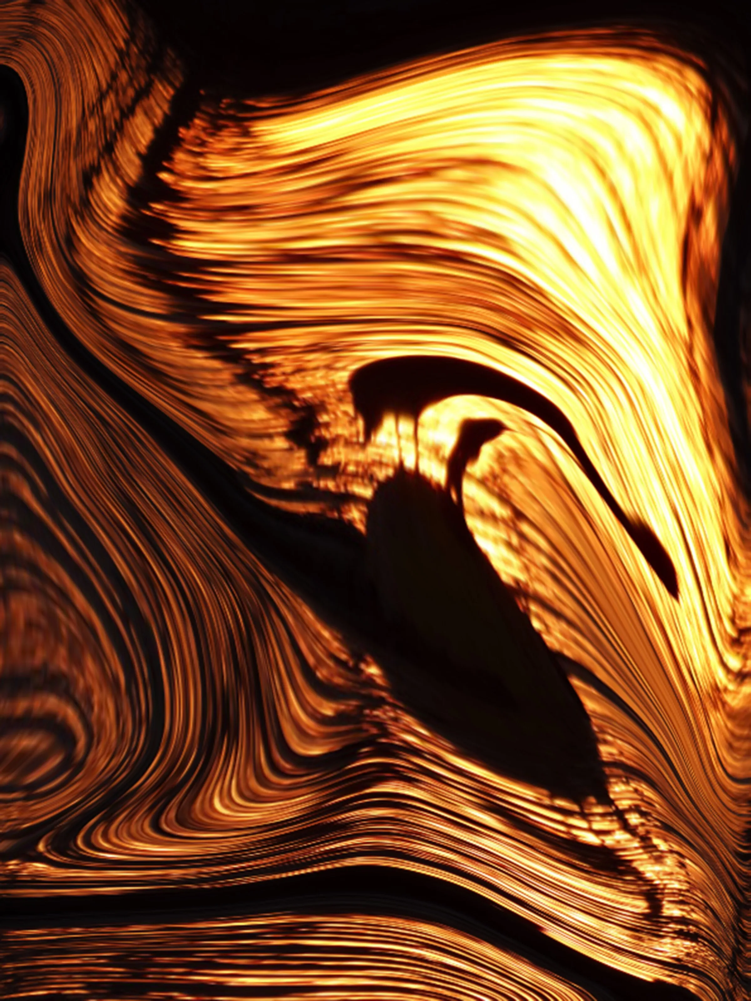 The Bird at Sunrise