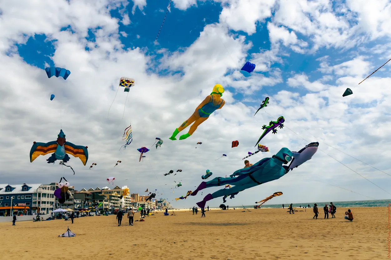 Entry 6973783