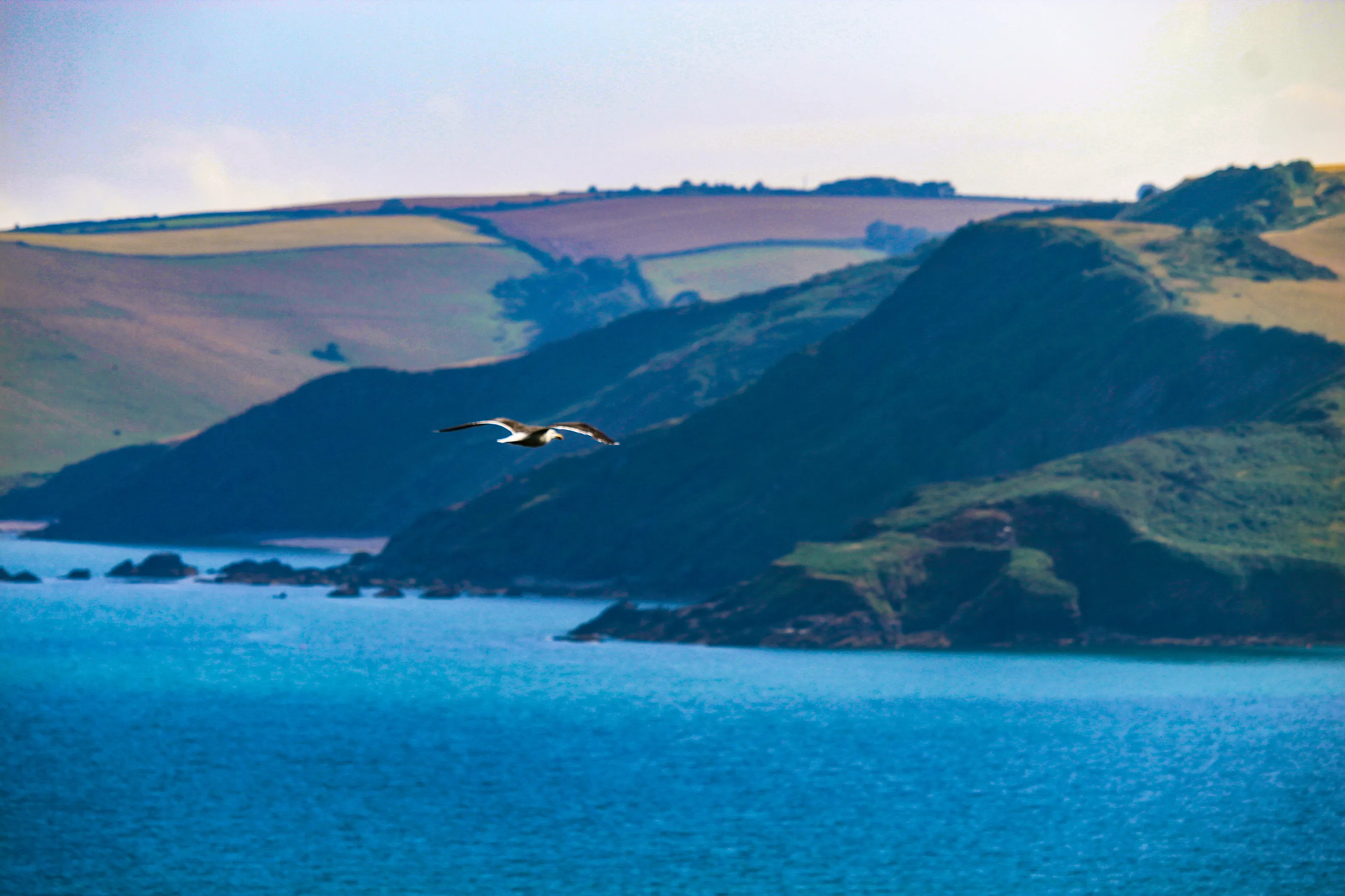 Sharkham Point