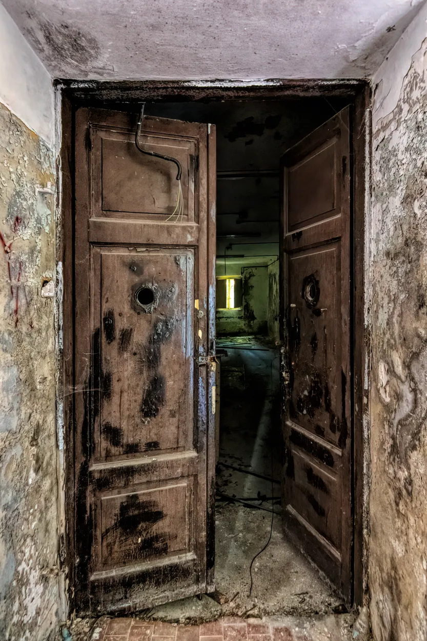 Entry 4506813