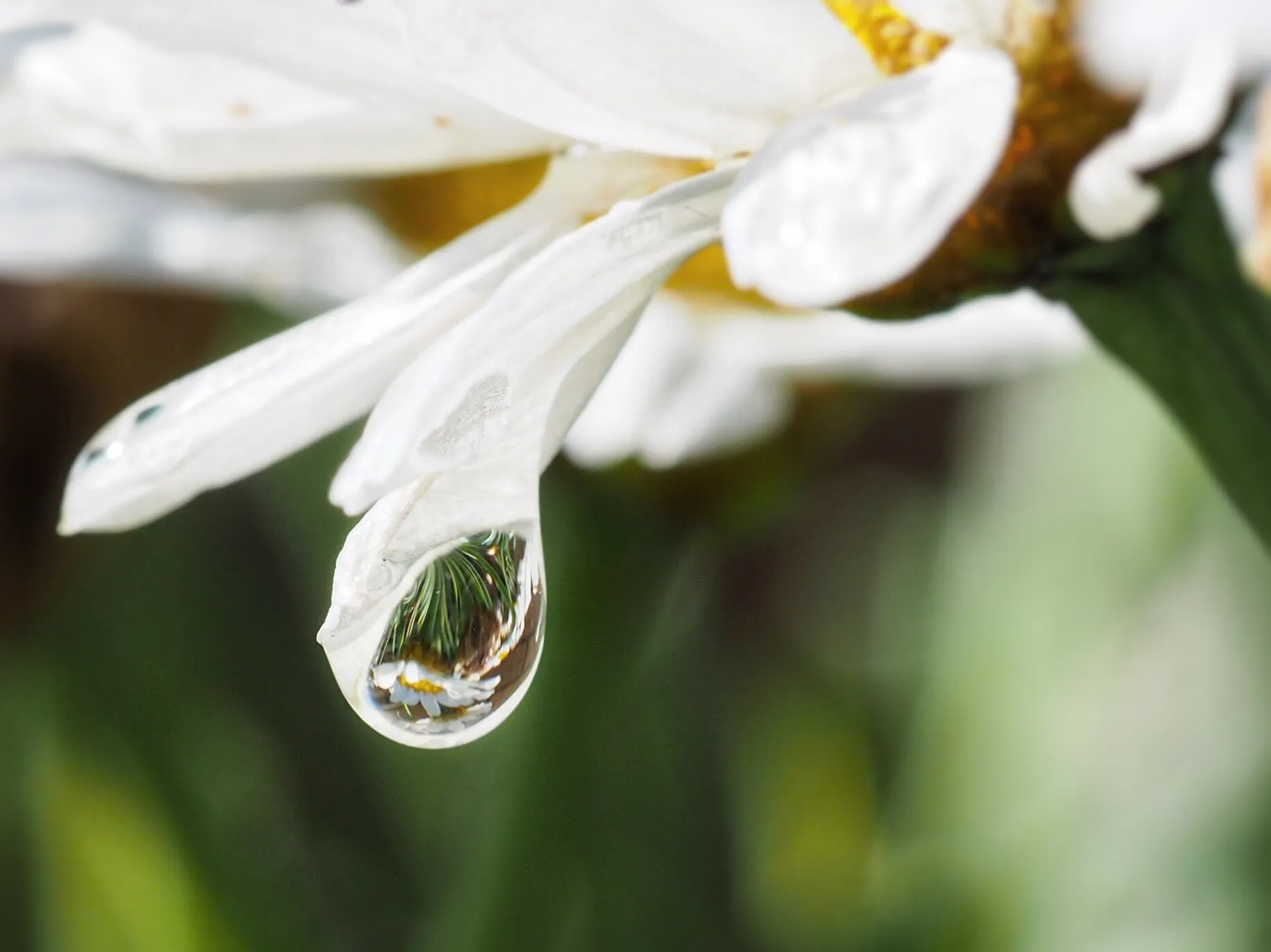 Waterdrop