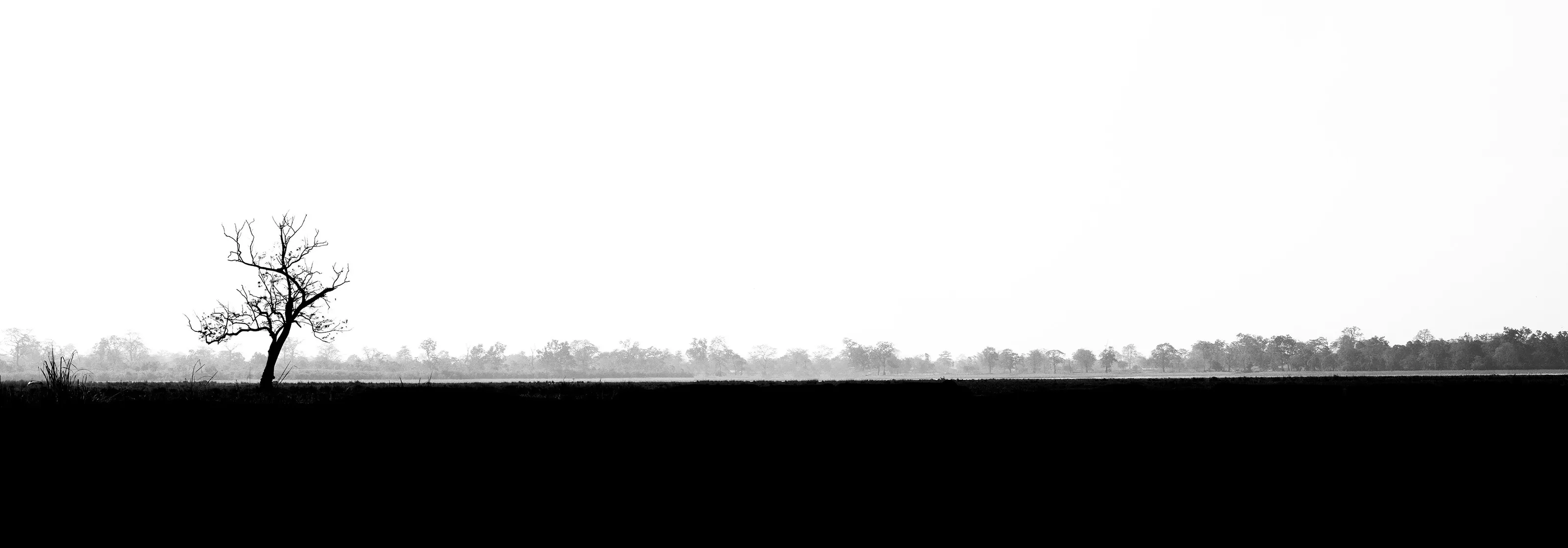 Alone