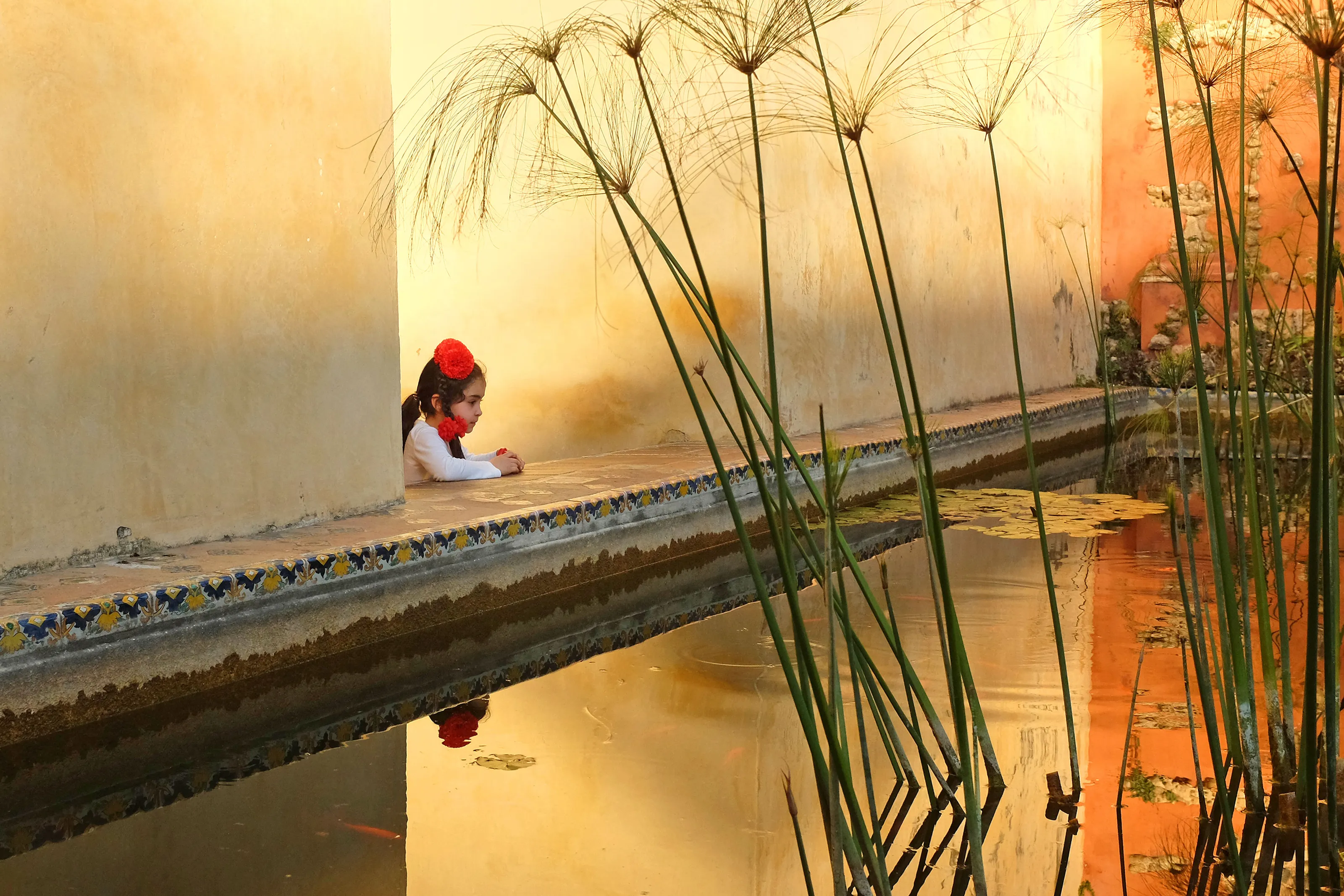 Dreaming by the pond