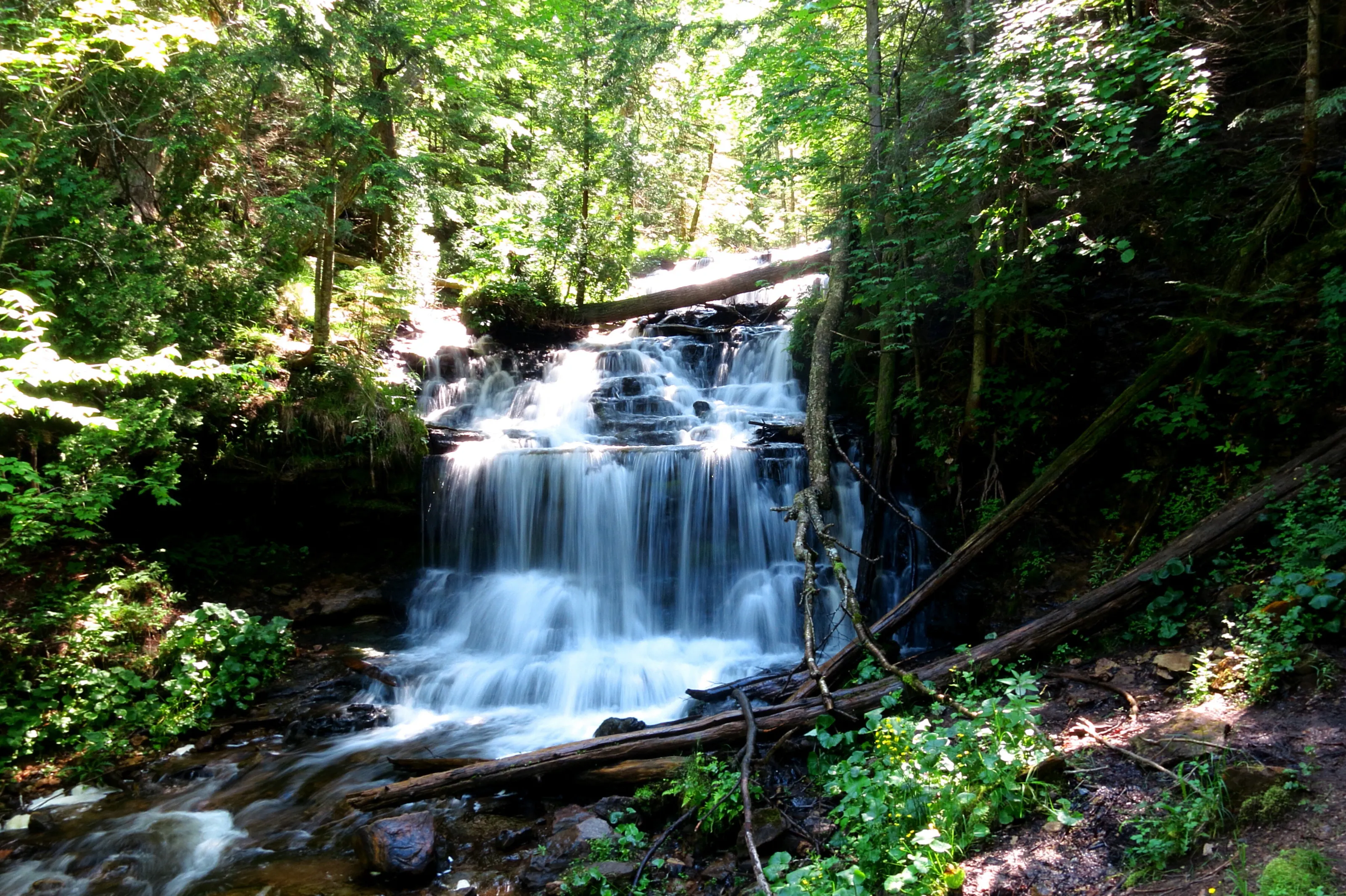 Wagner Falls in Summer