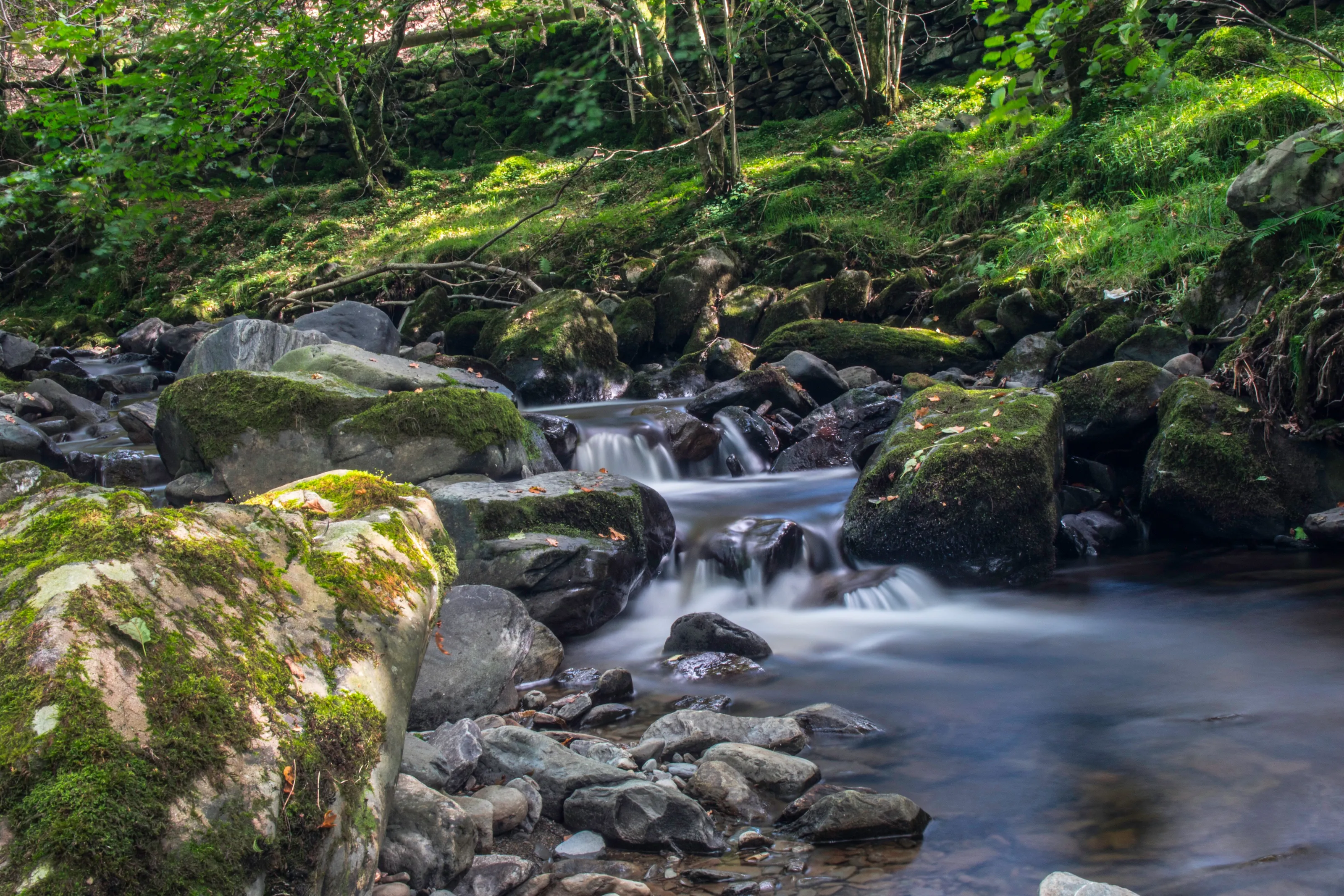 Babbling brook
