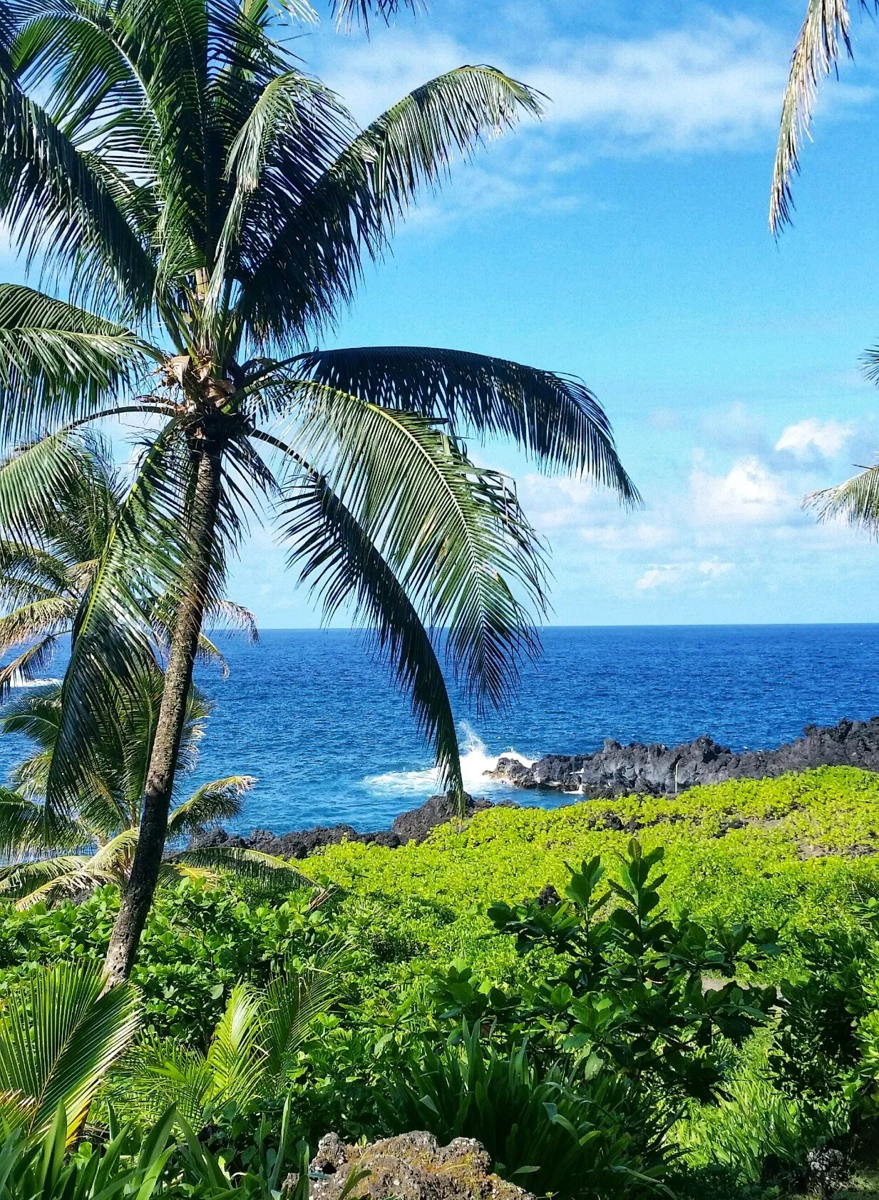 Oceans of Maui
