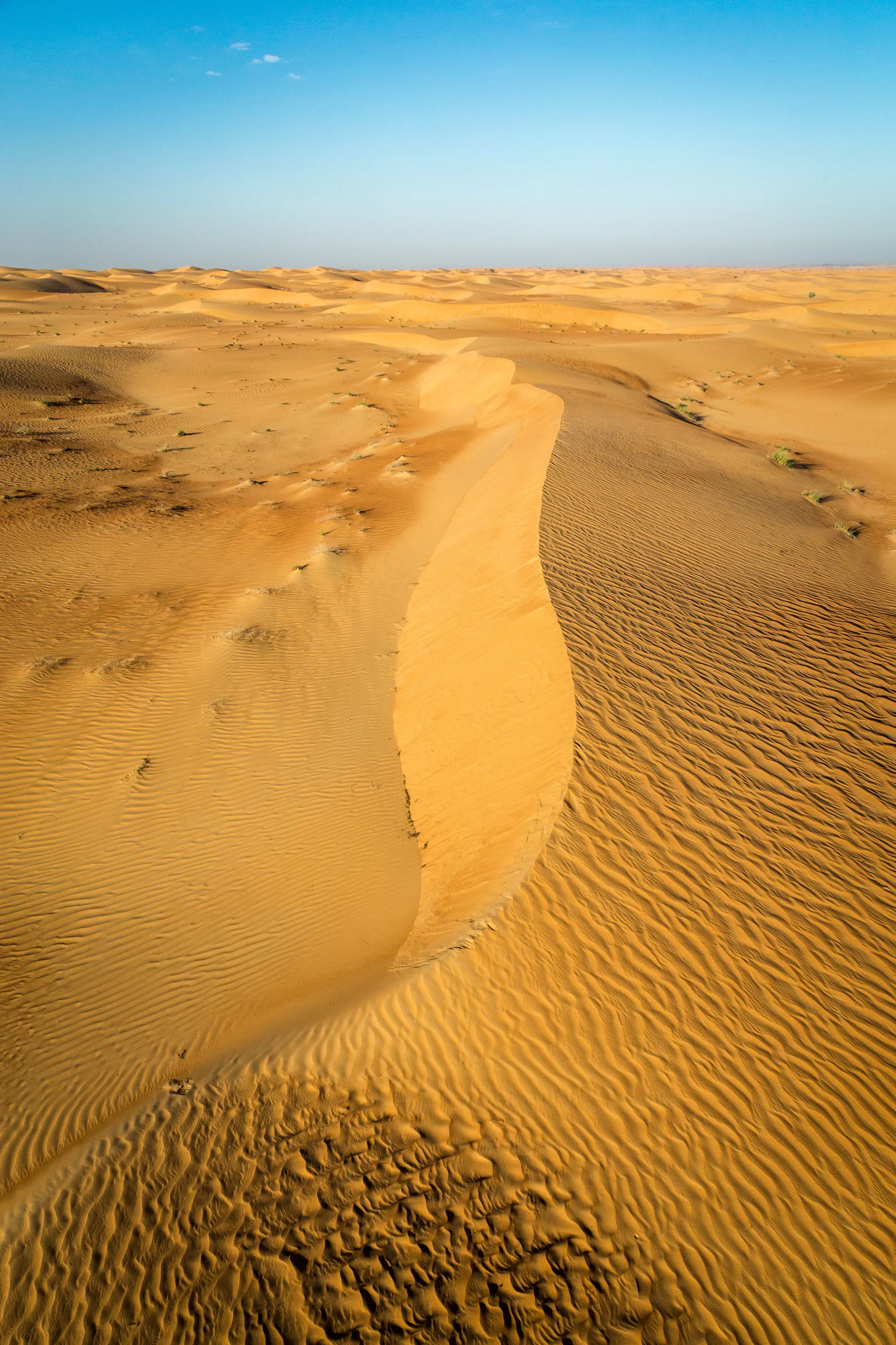 Sand dunes in early morning