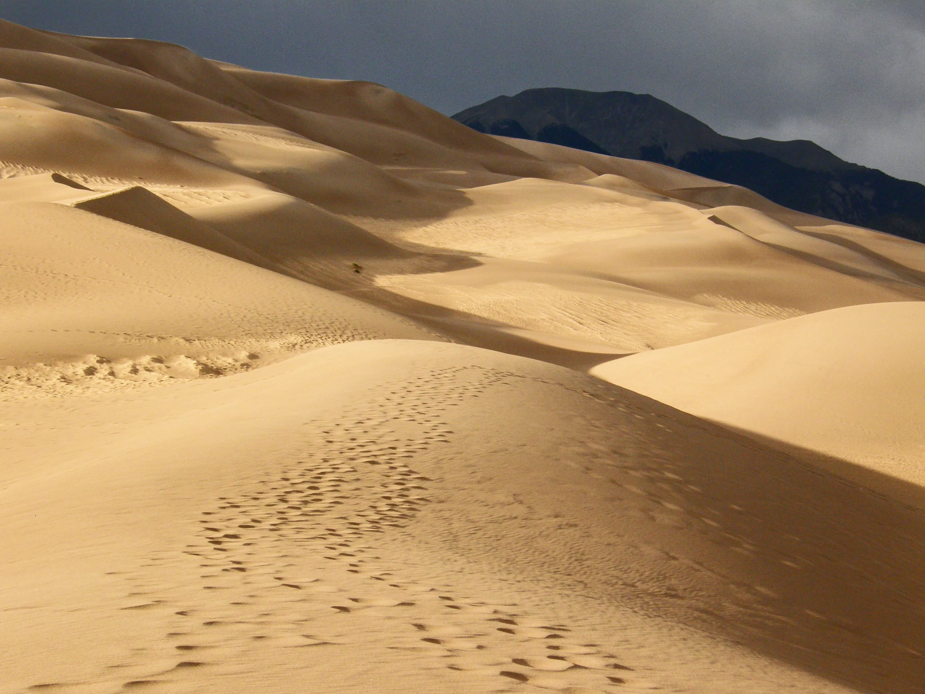 Great Sand Dune Np Colorado Usa