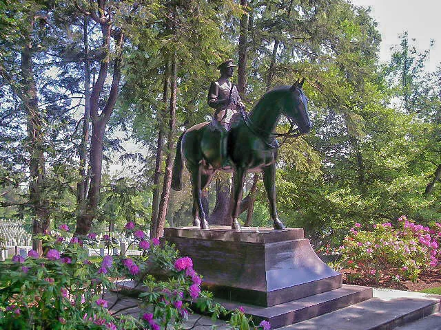 Entry 4539232