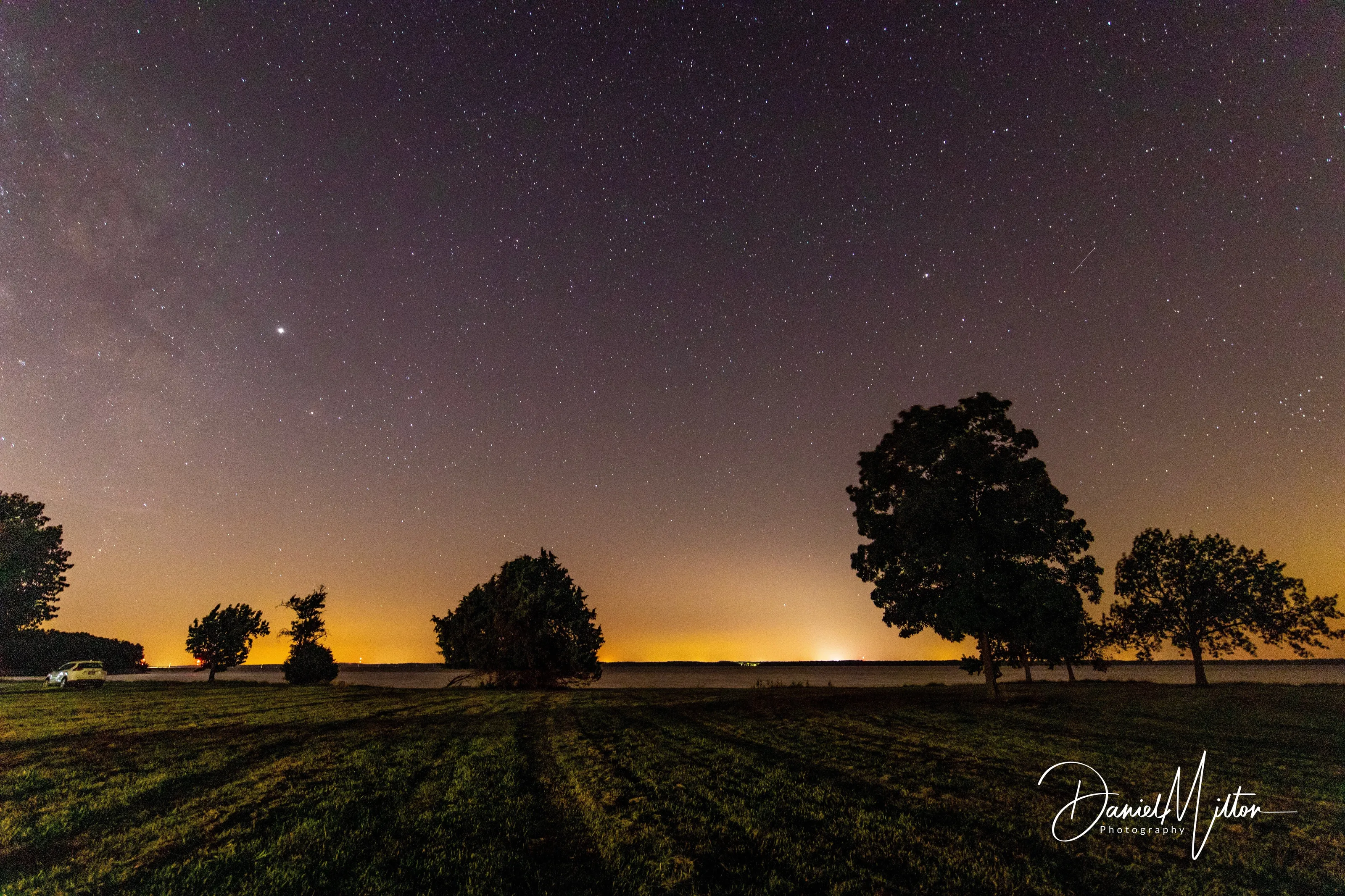 Field of Stars