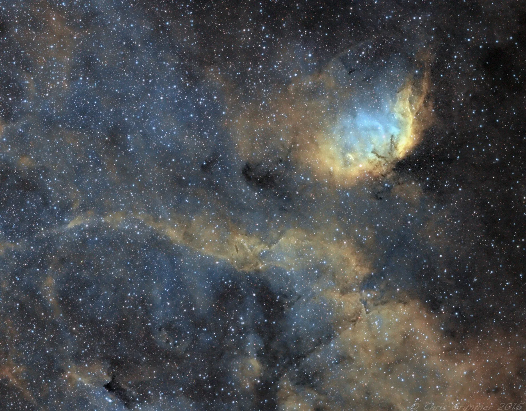 The Tulip Nebula