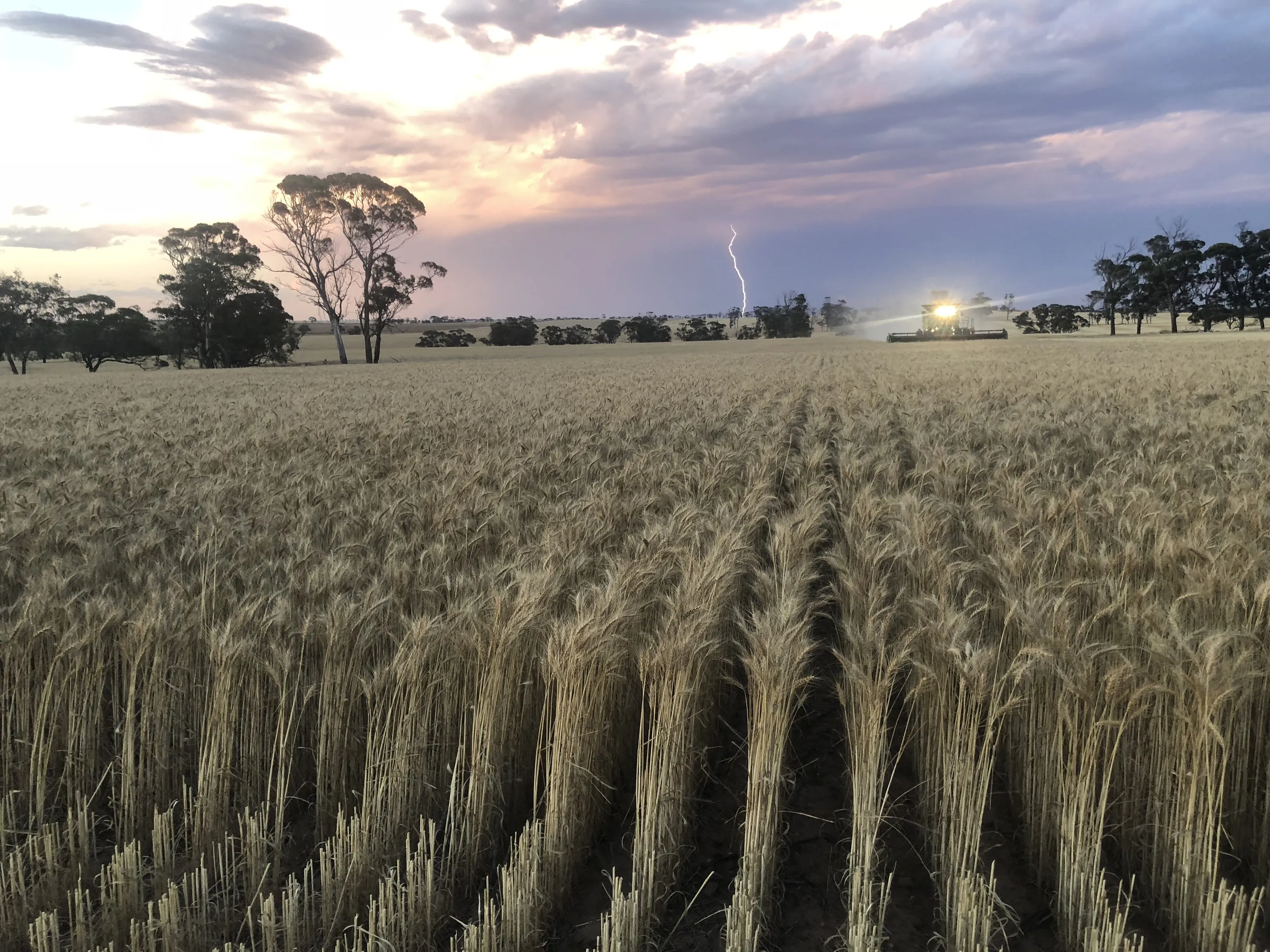 Harvest Storms