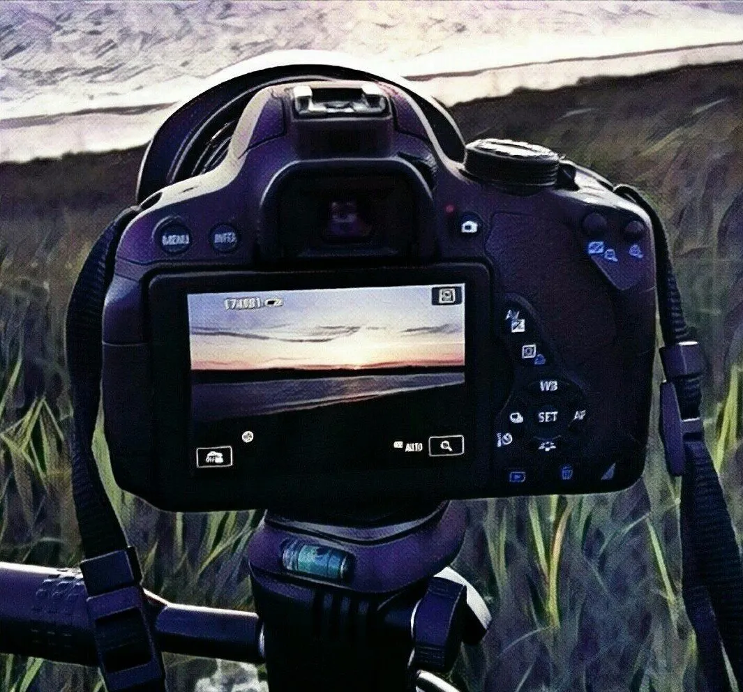 Banner image
