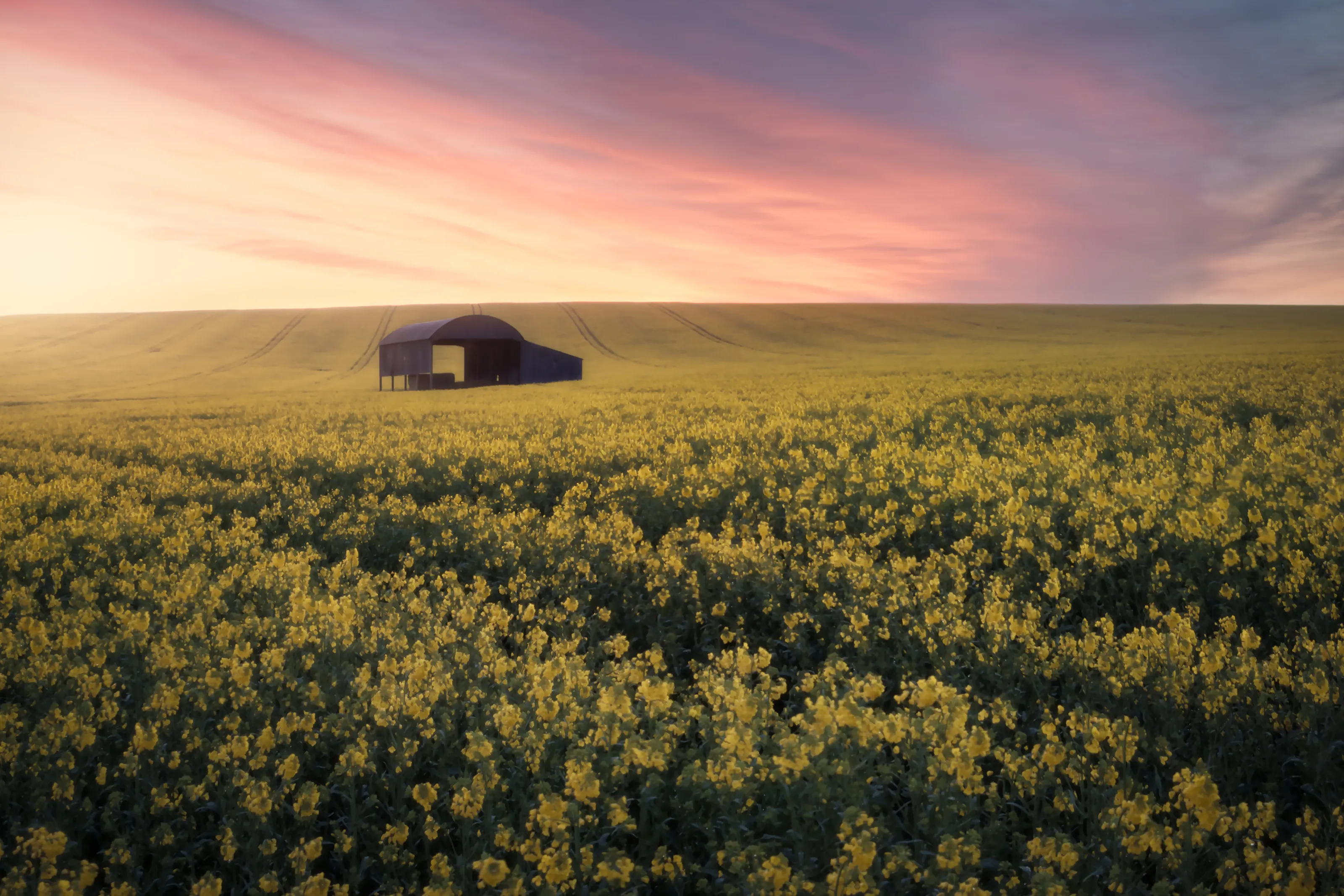 The Barn