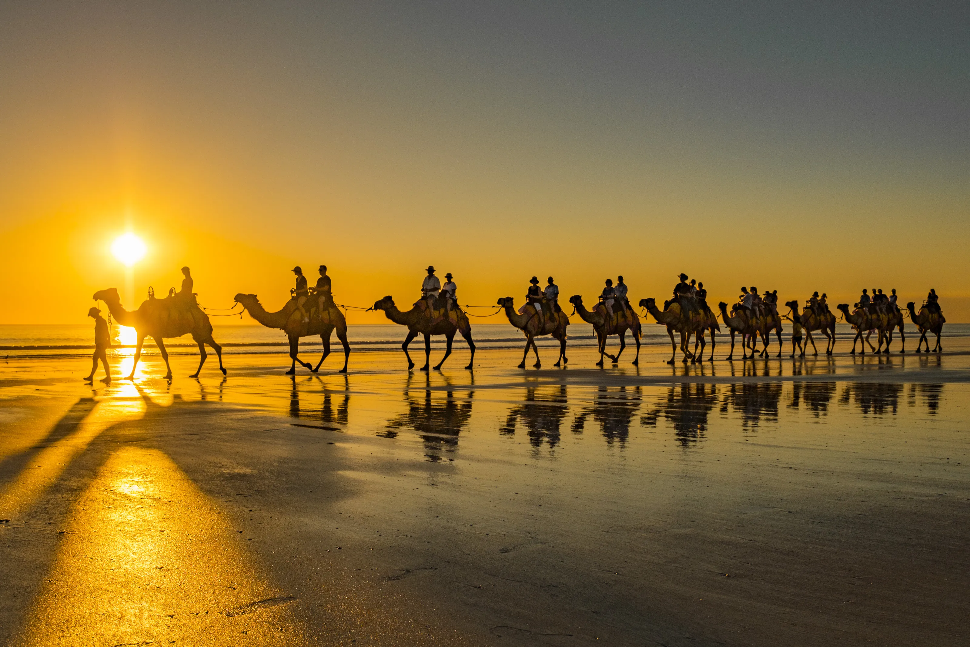 Cable Beach Camels