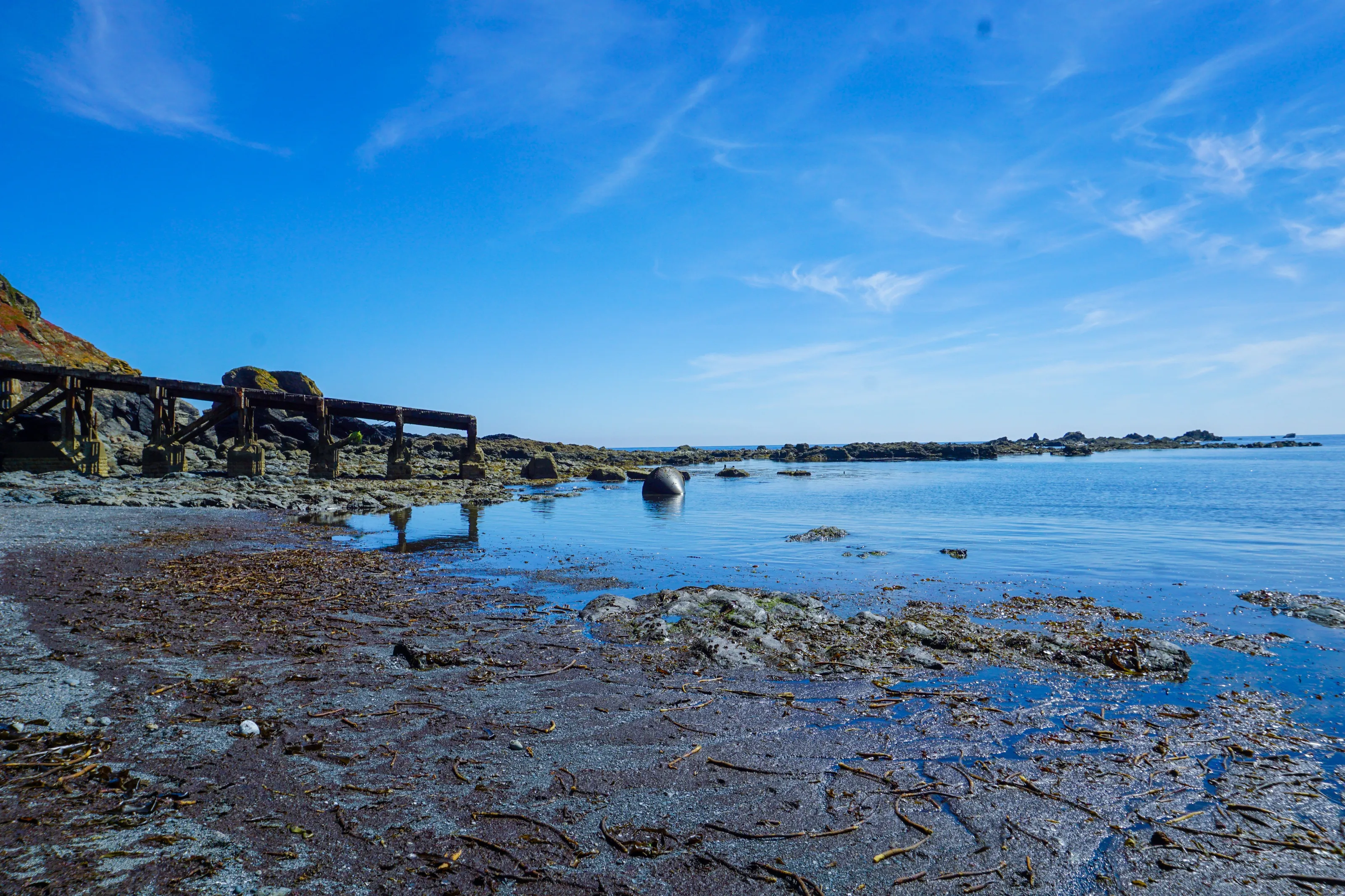 Lizard Point