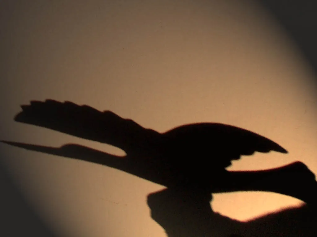 Every shadow no matter how deep is threatened by morning sun