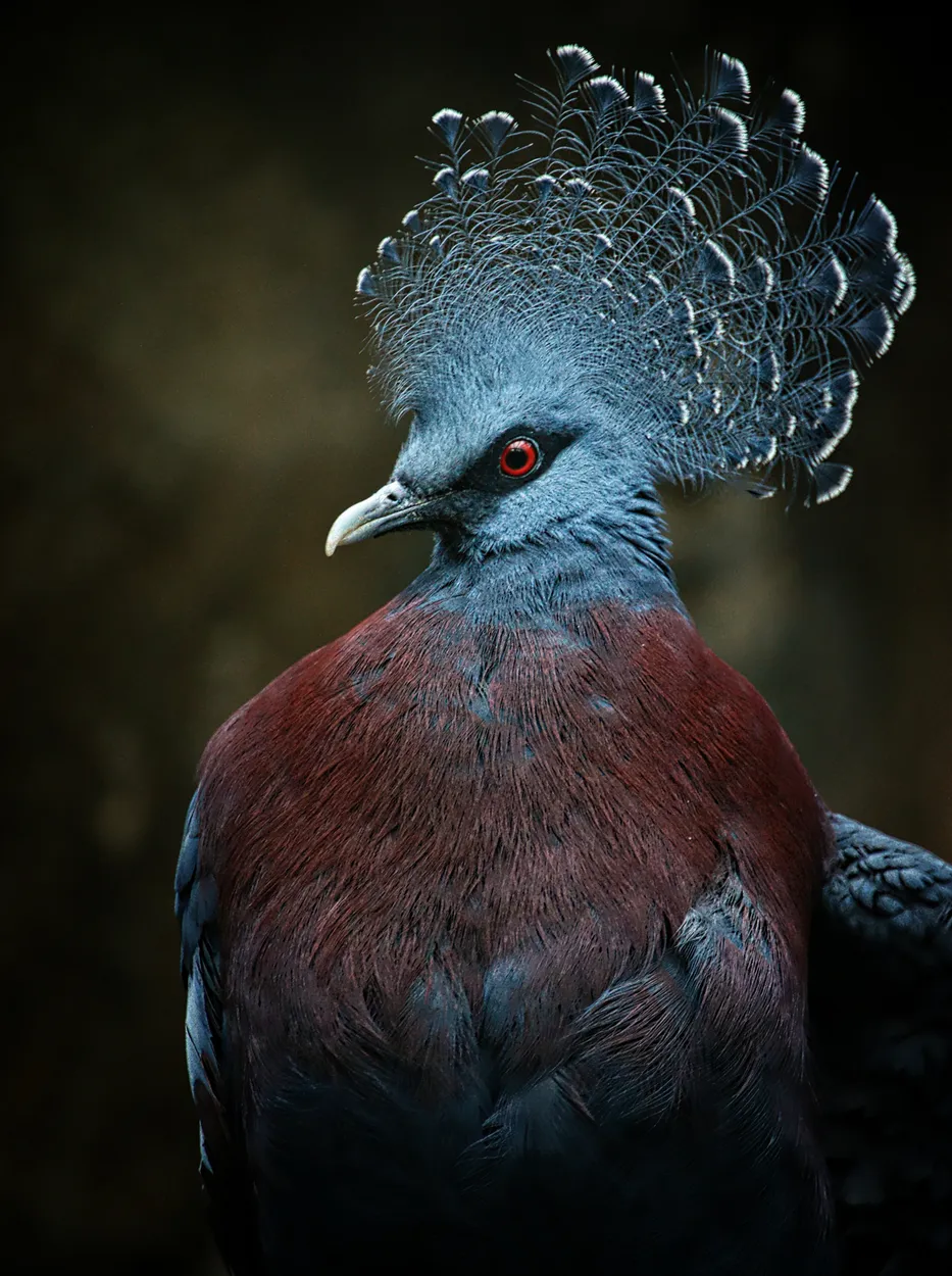Entry 9578294