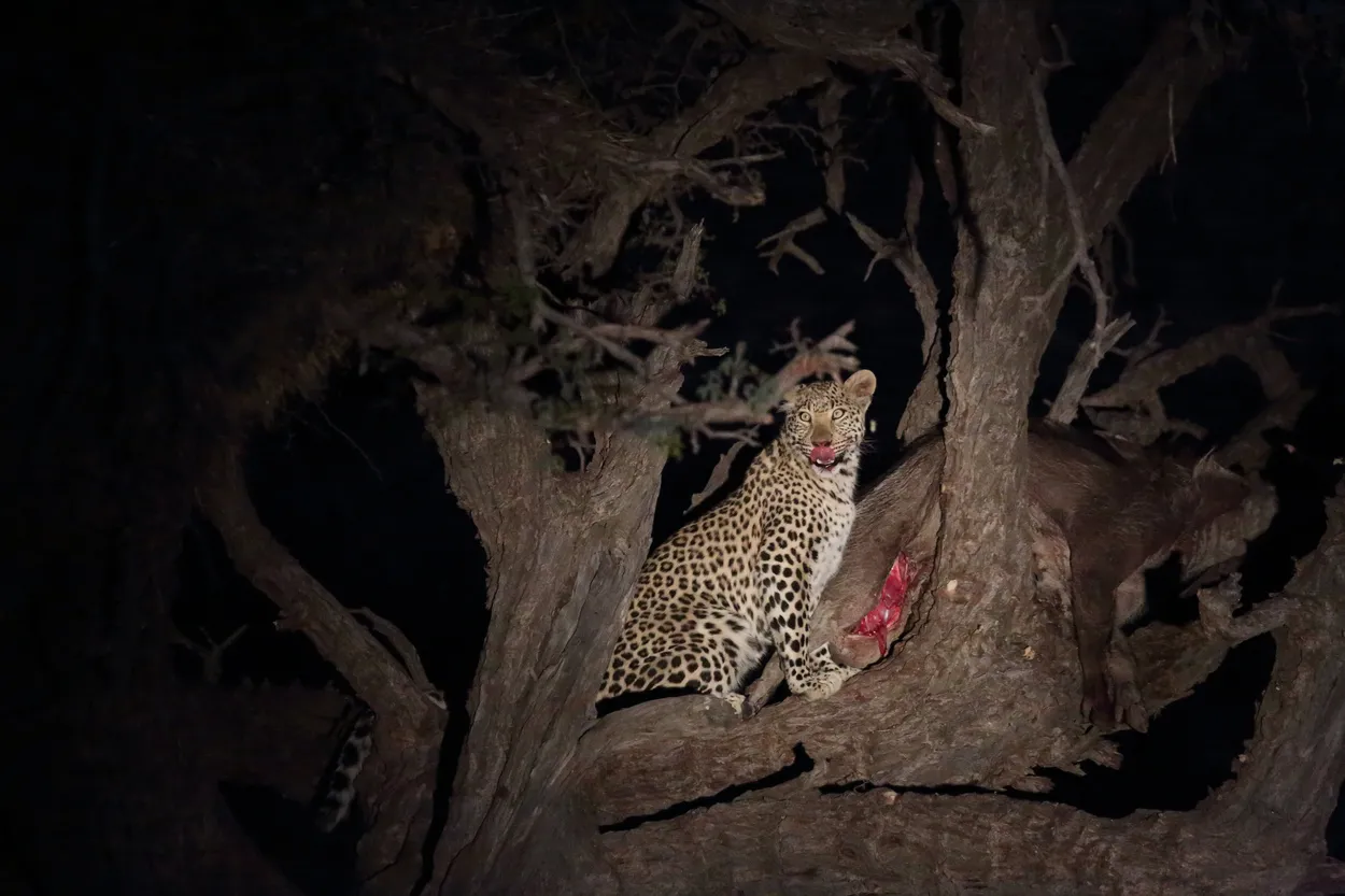 Entry 10990503
