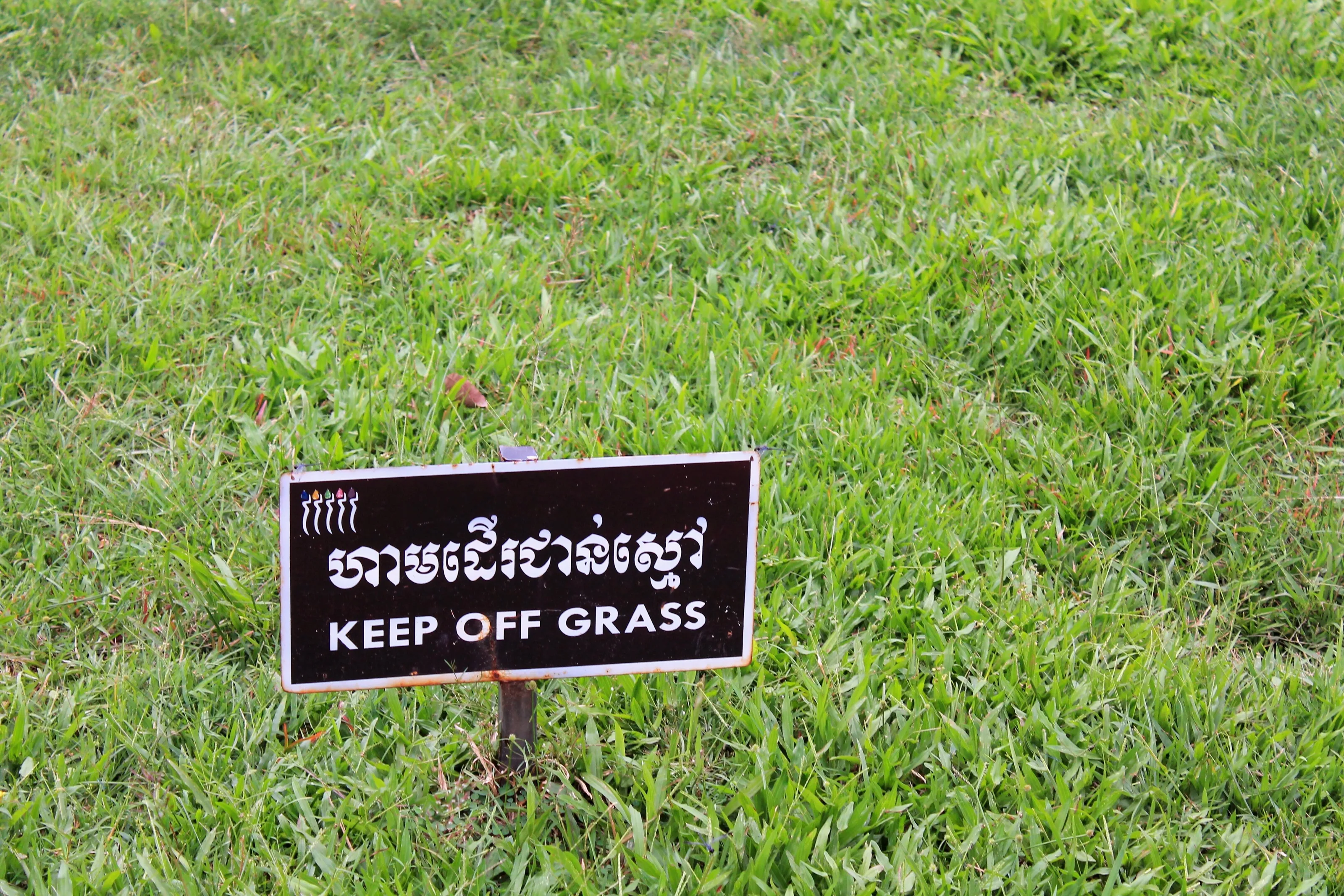 Keep off the grass!