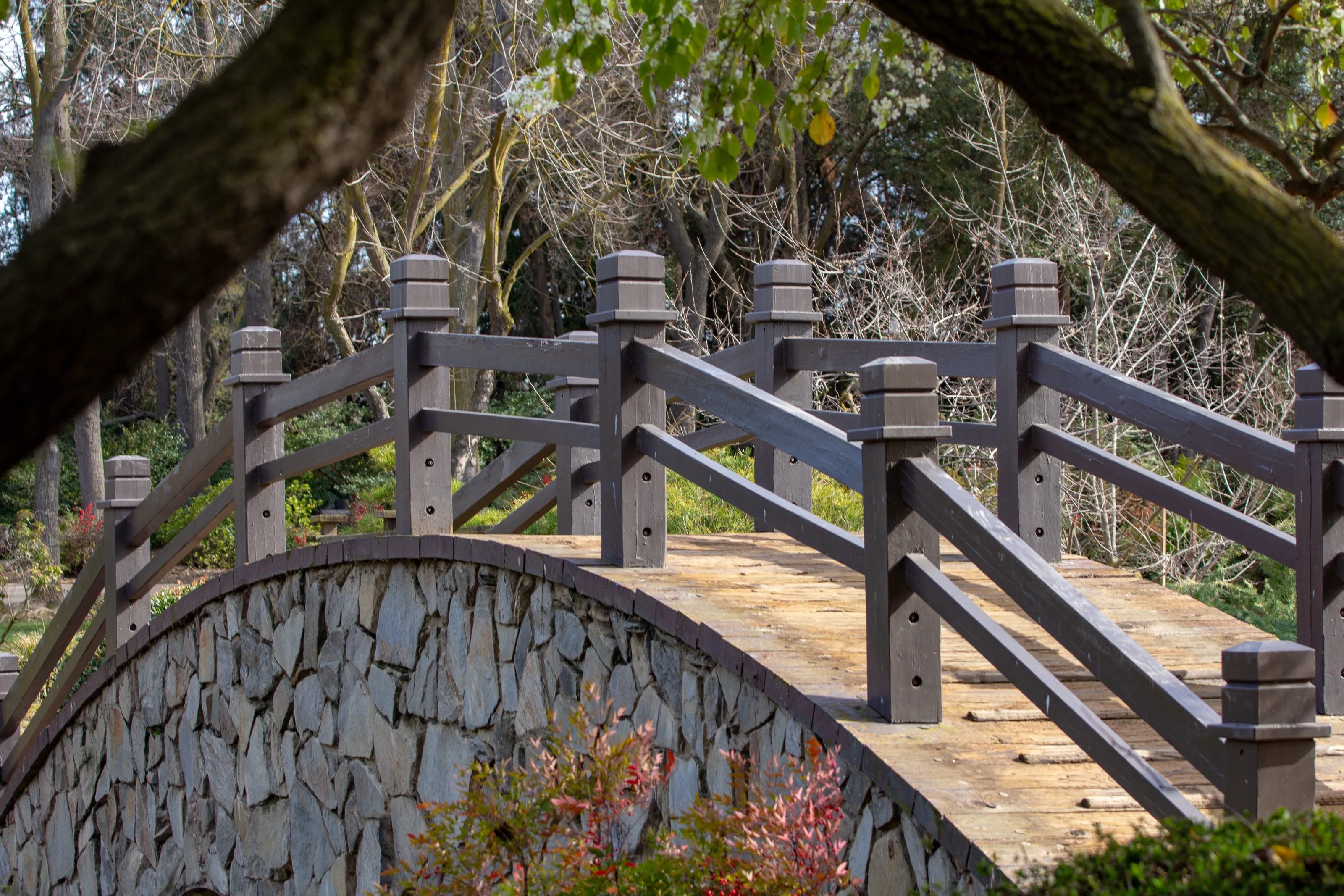 Double Moon Bridge