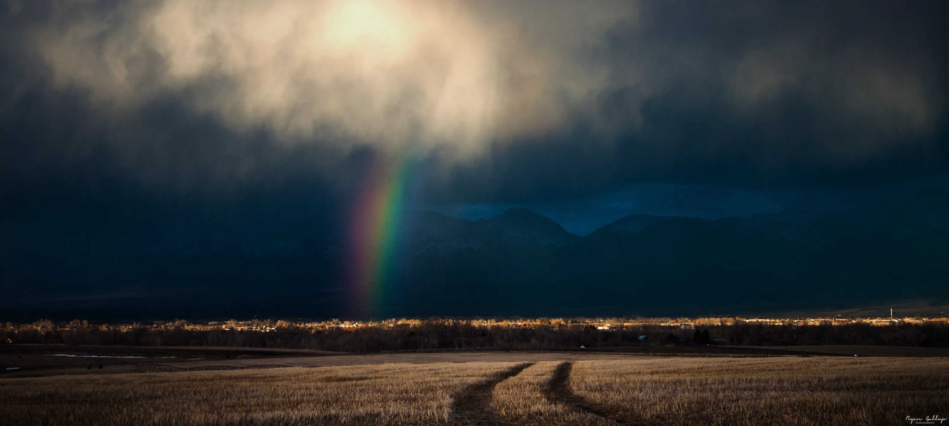 Light Reveals