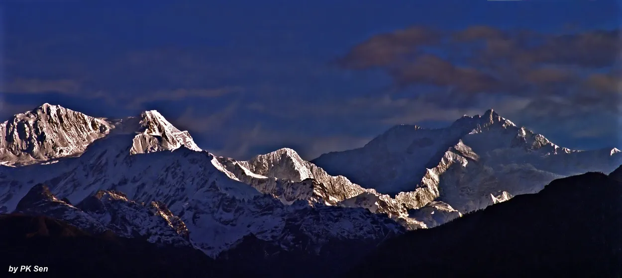 Entry 20802339