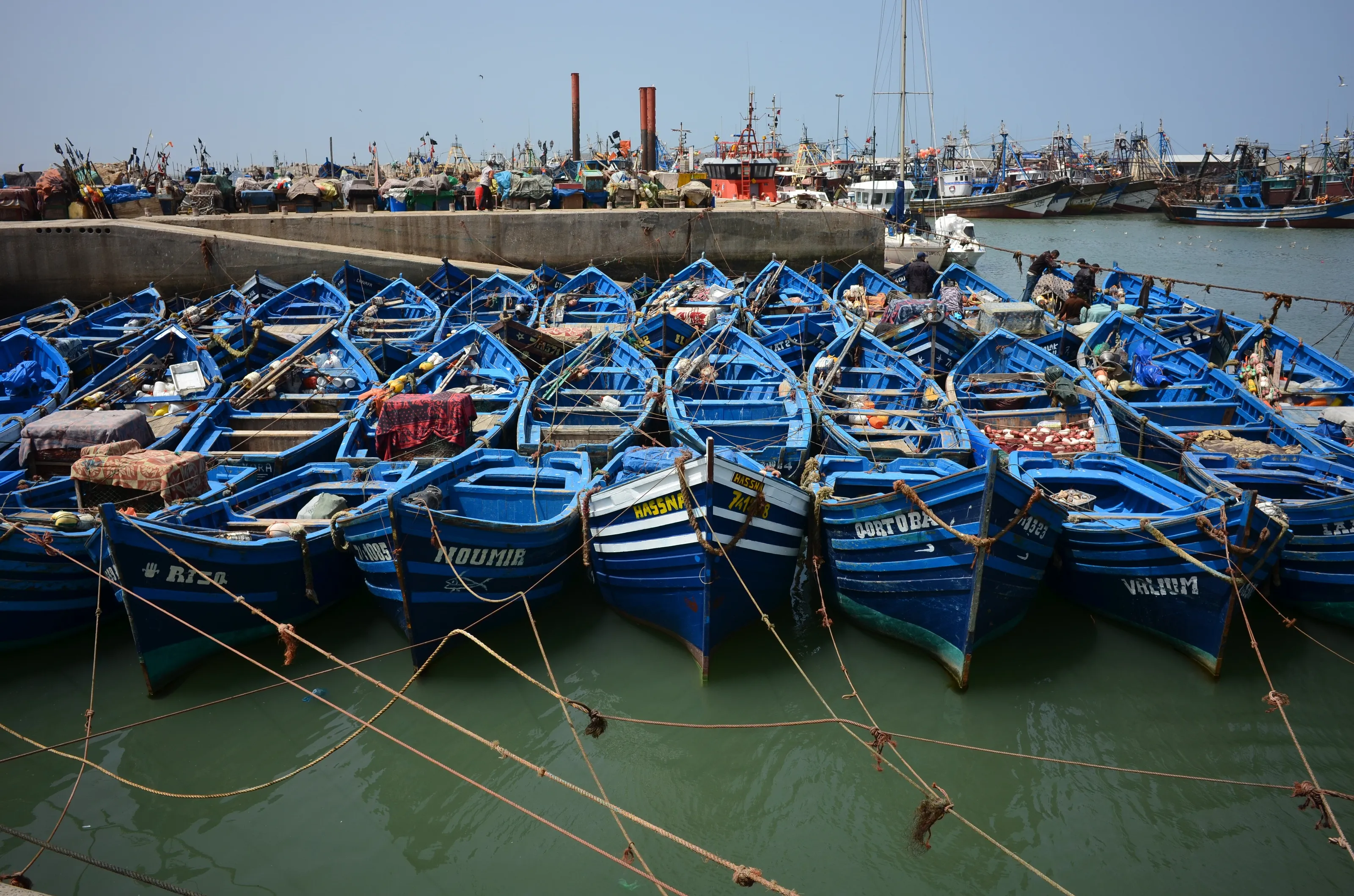 The Blue Boats of Essourira