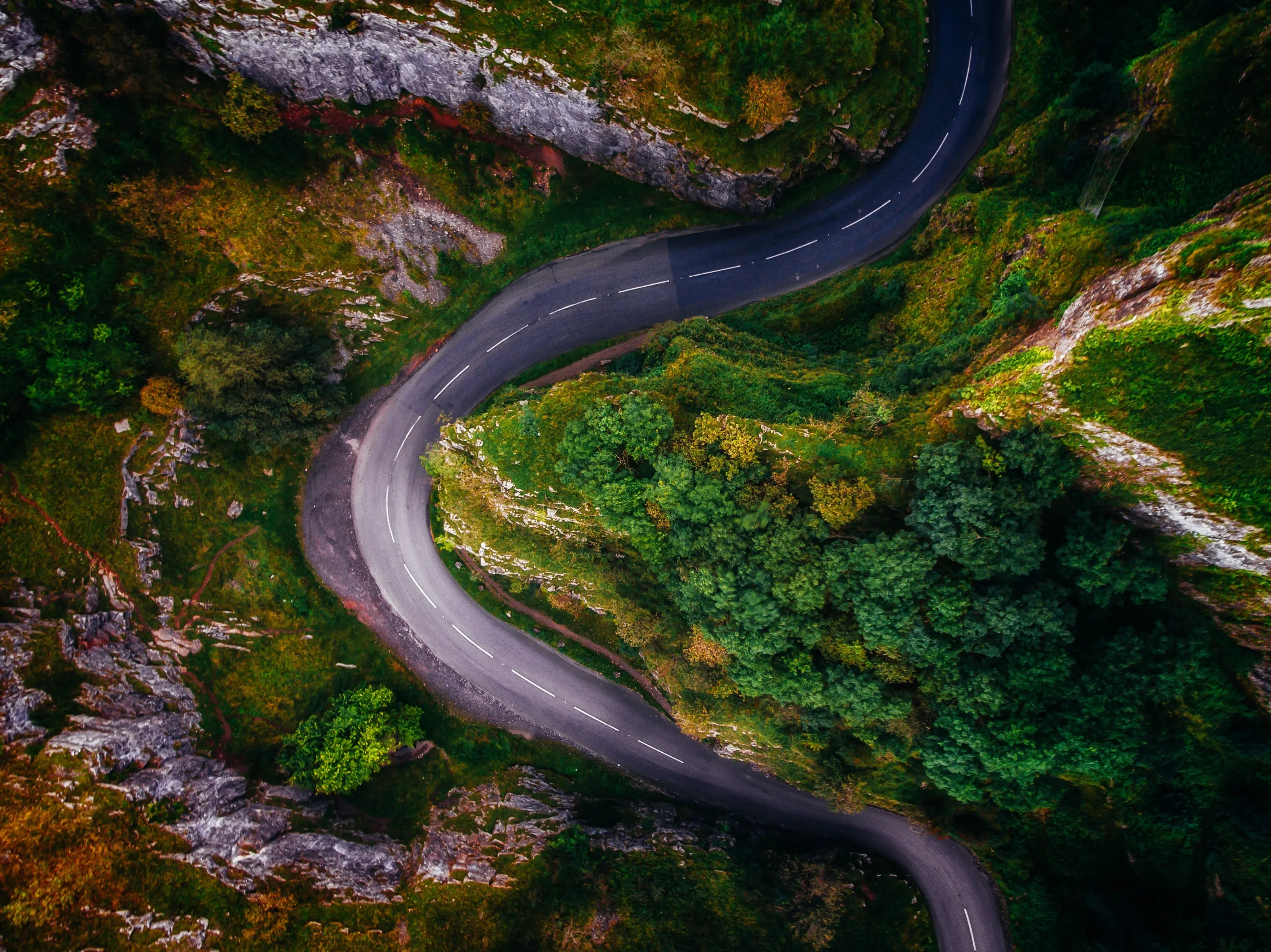 The Bend in the Road