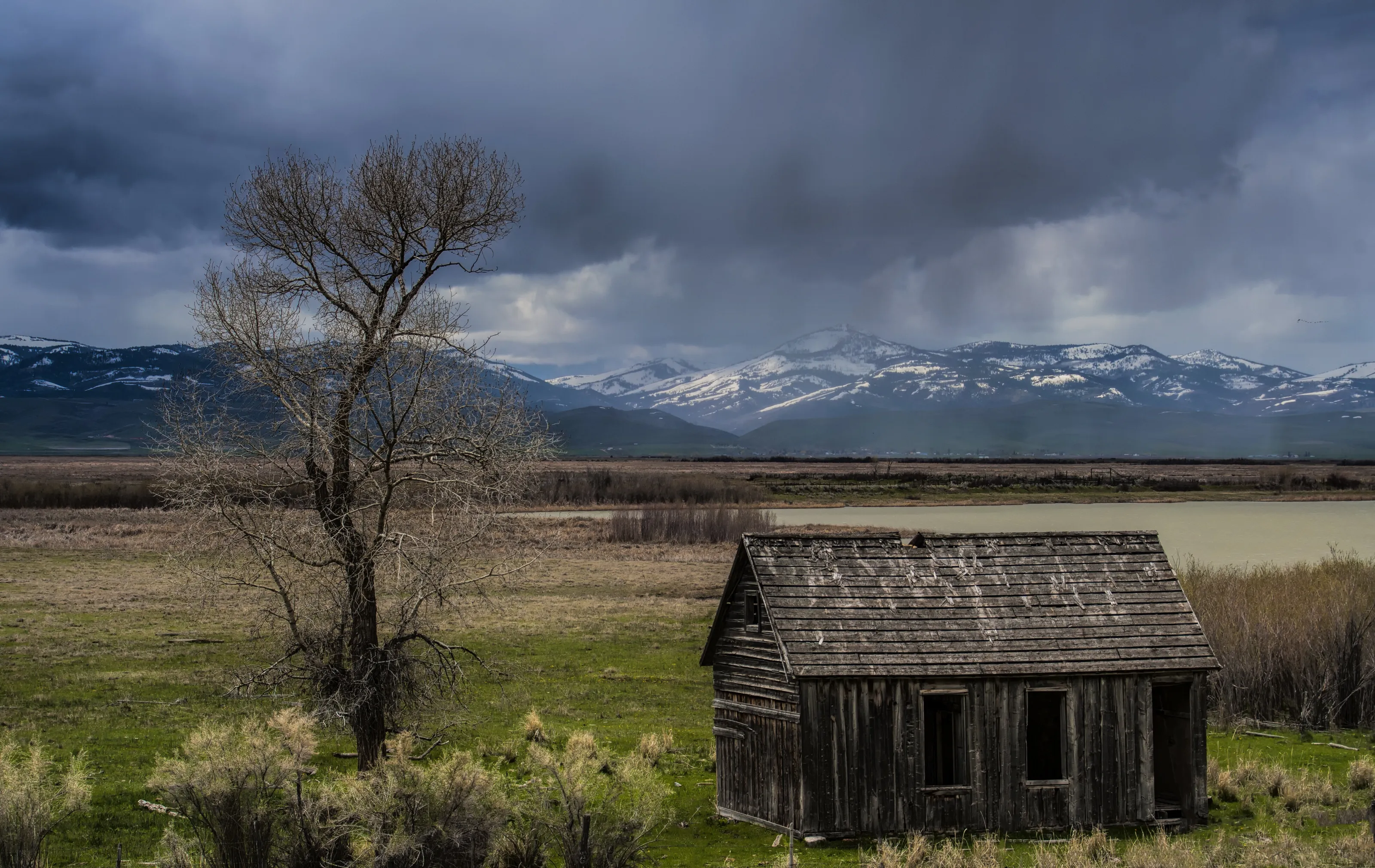 Abandoned