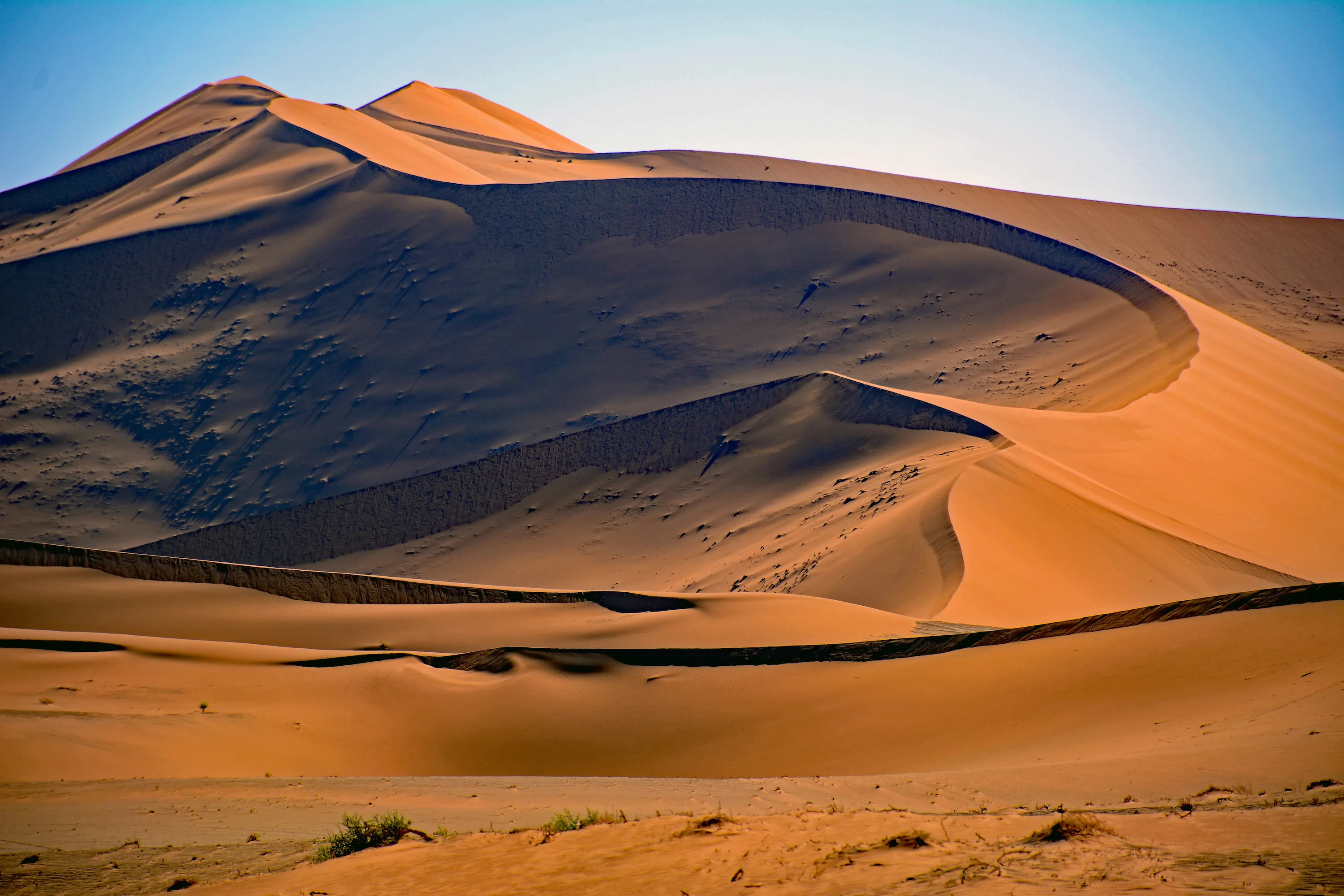 Red Sand Dunes