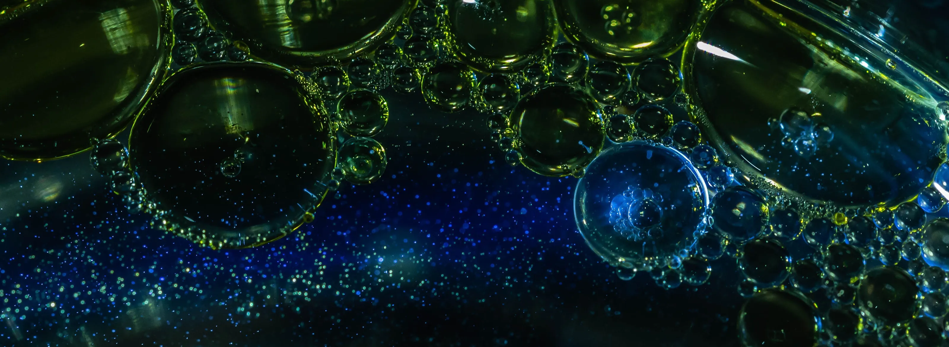 Banner image