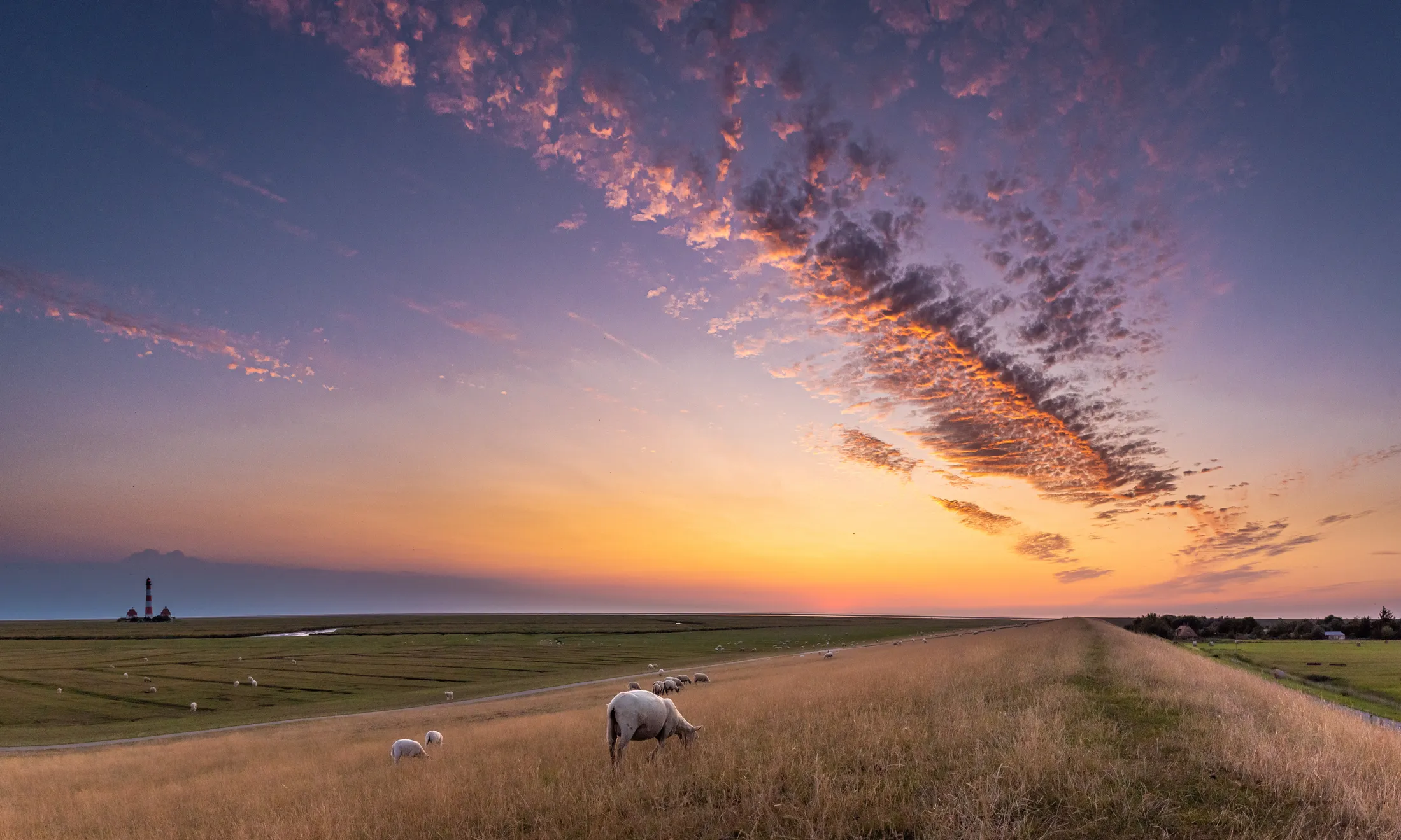 Entry 7374875