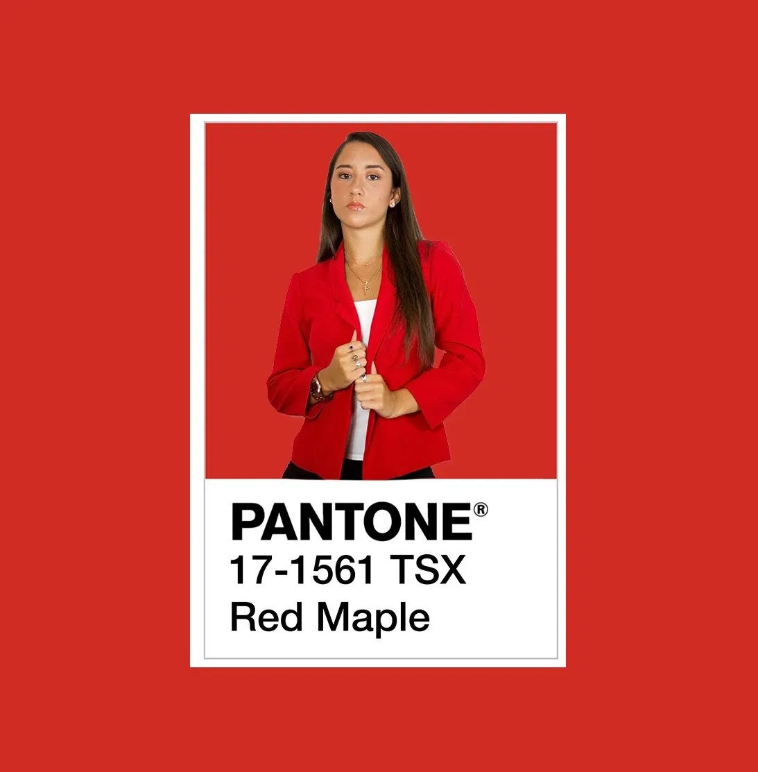 Pantone Series: Red.