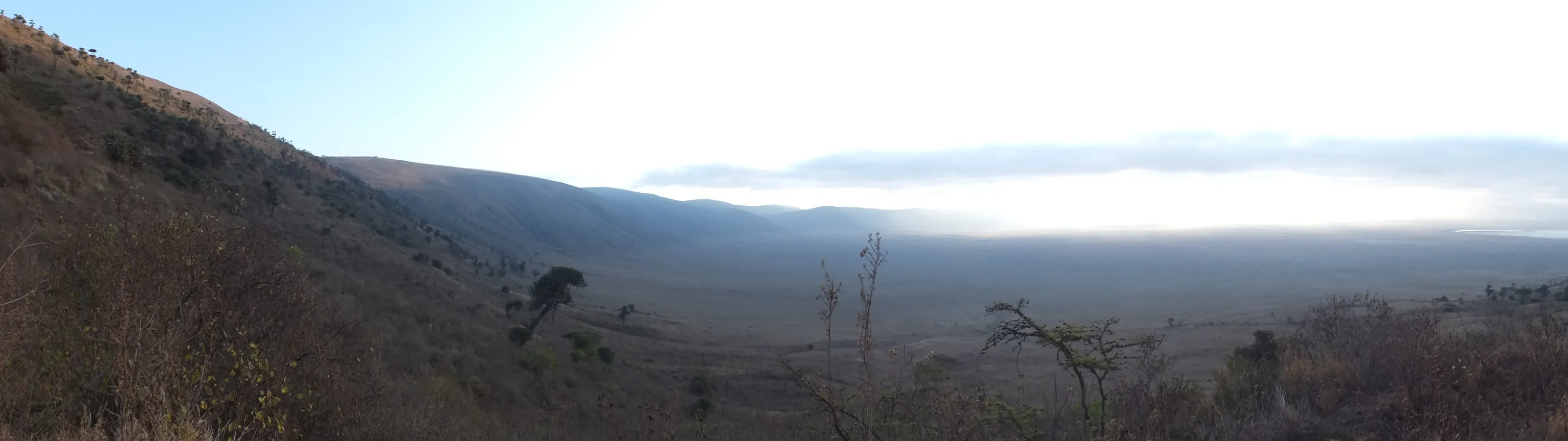 Ngorongoro Crater