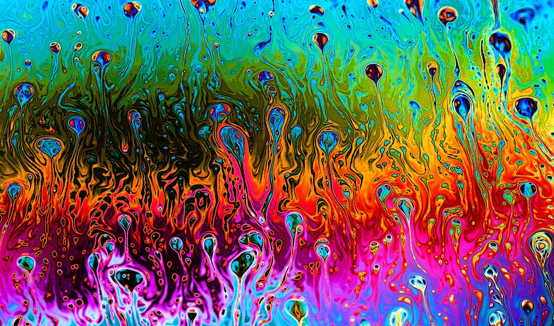 Entry 7793429