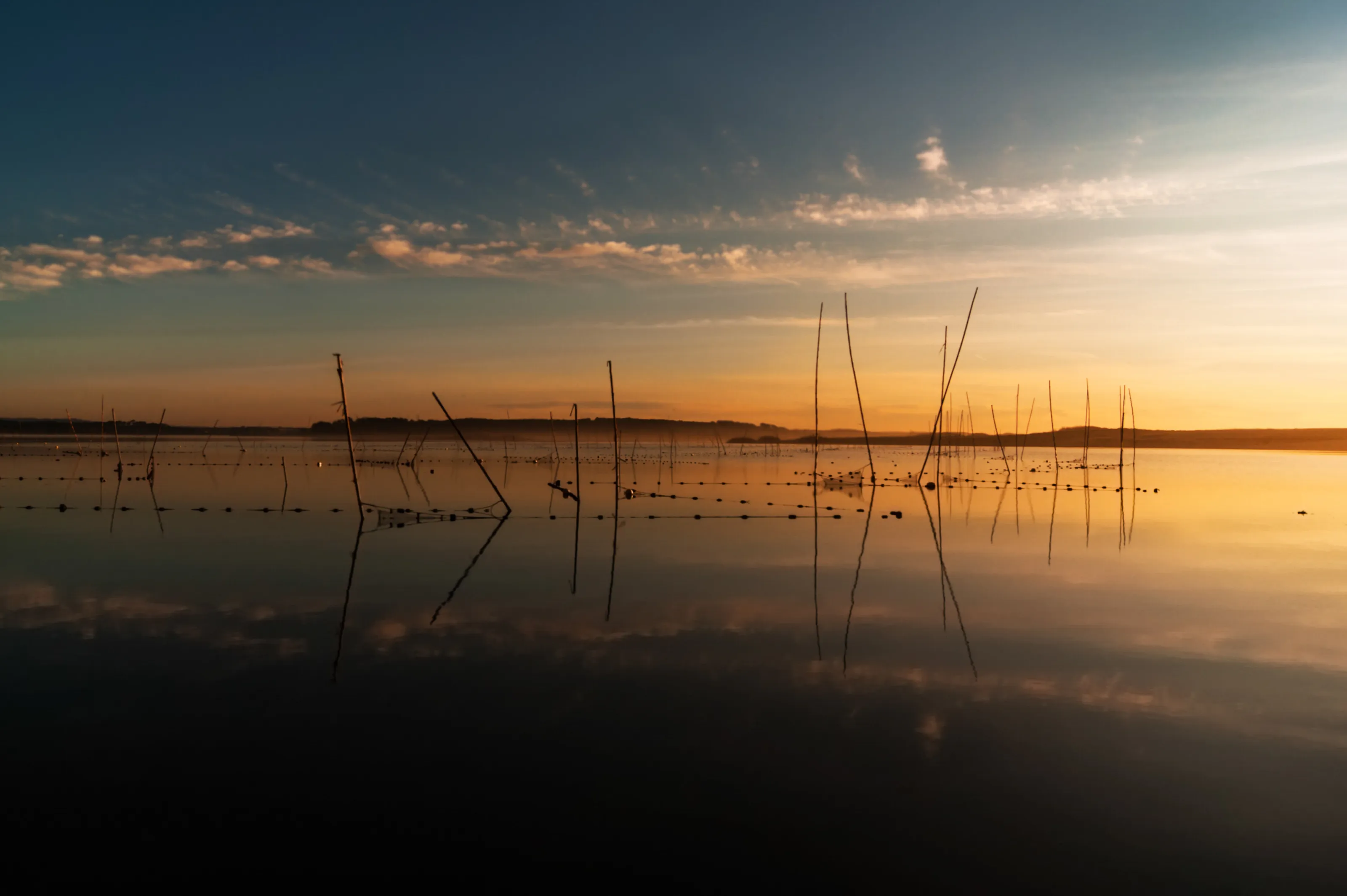 rods, nets and floats