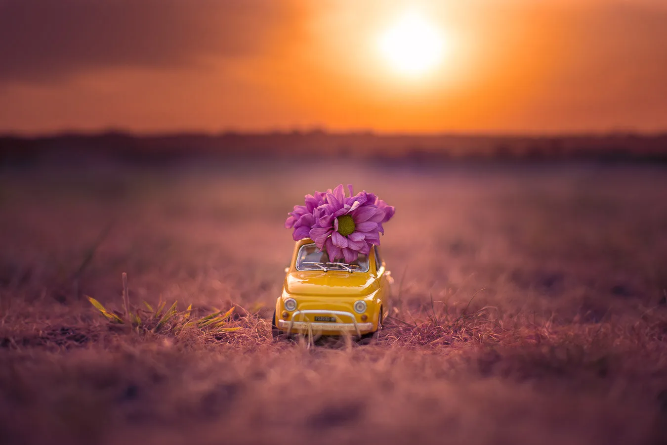 Sunset Journey