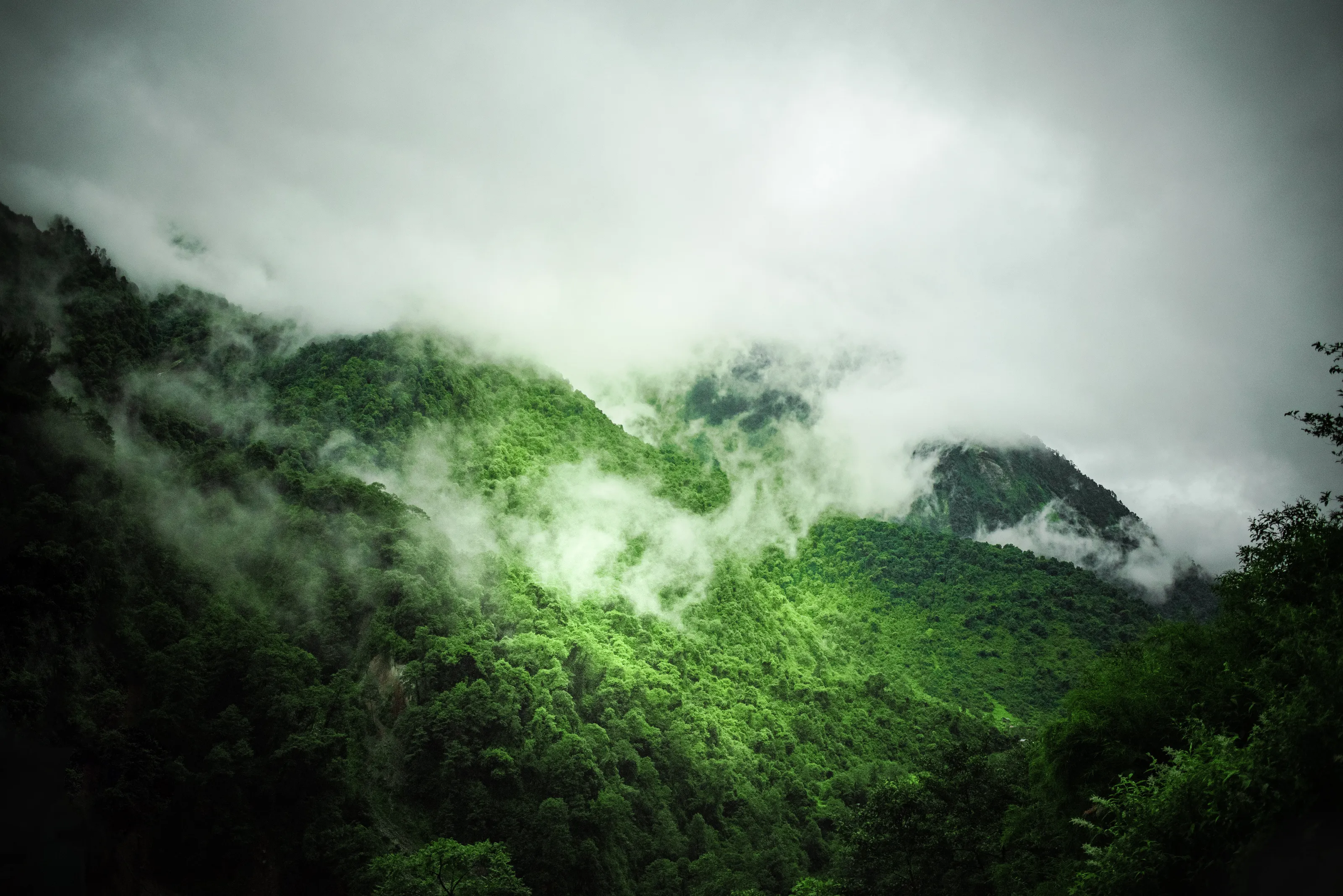 BEAUTY OF A NATURE