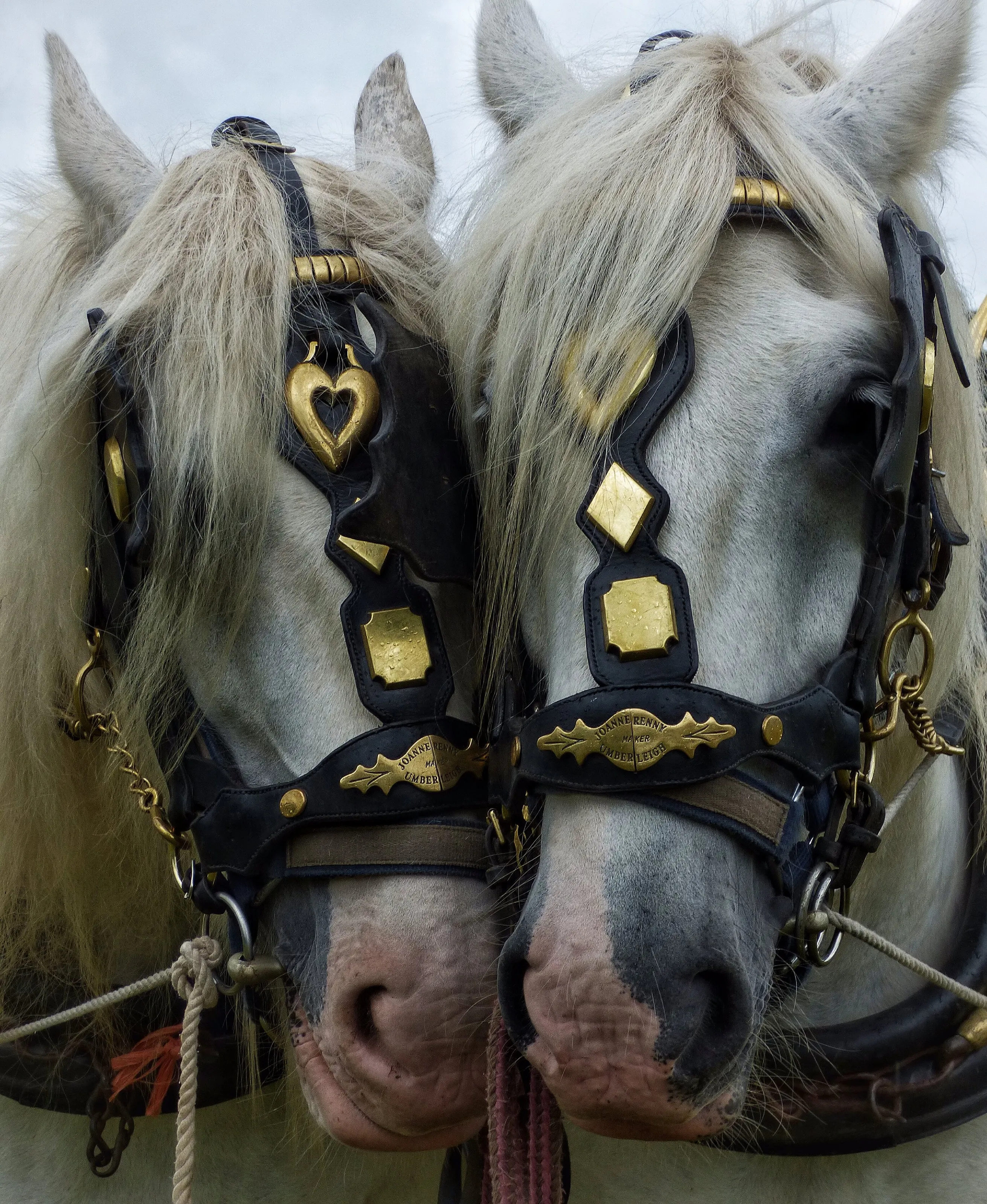 Working Horses