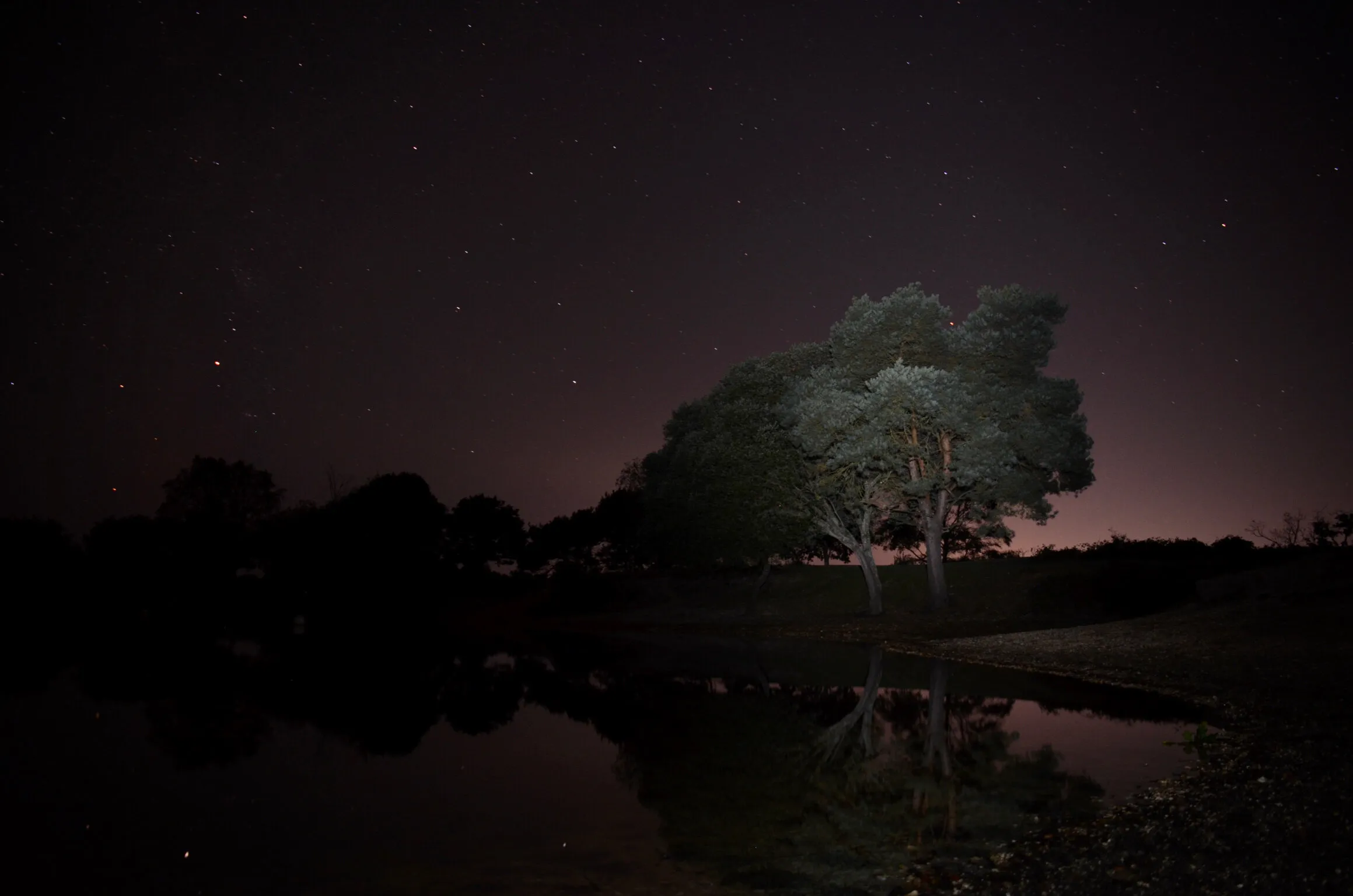 The Pond