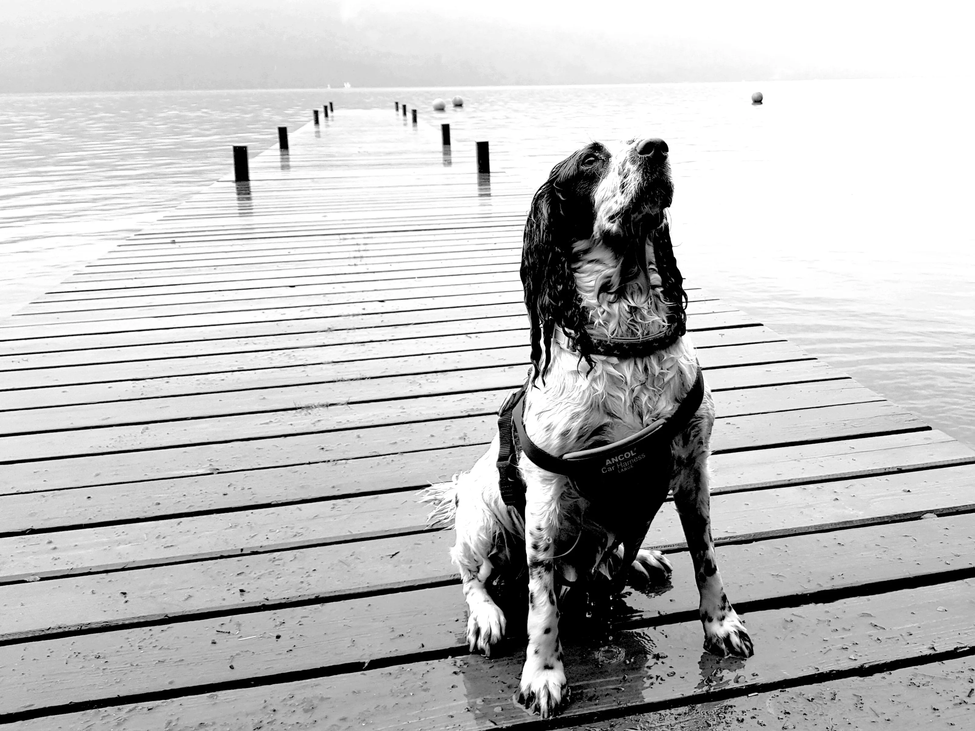 She loves the Lake
