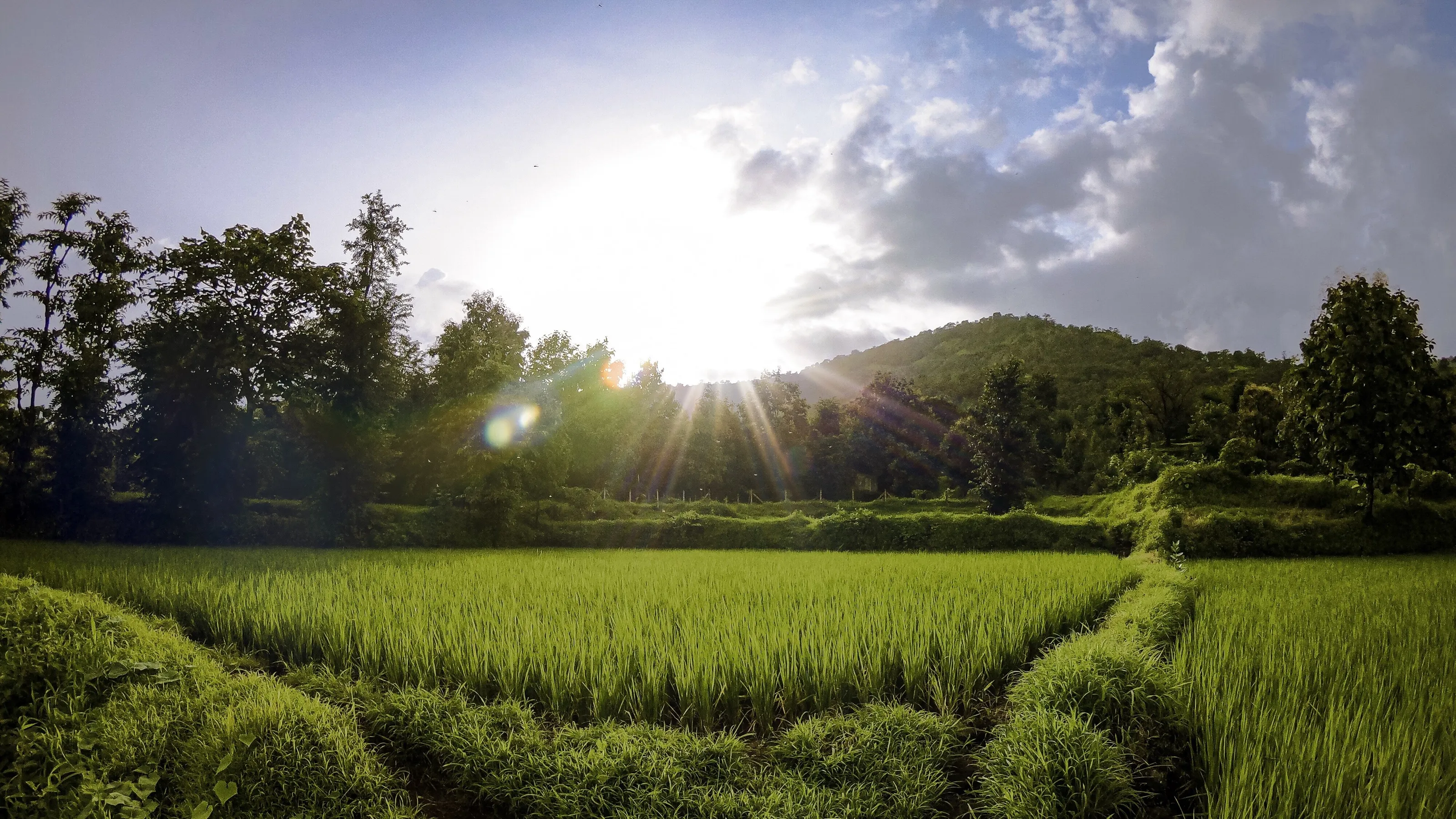 Village Landscape