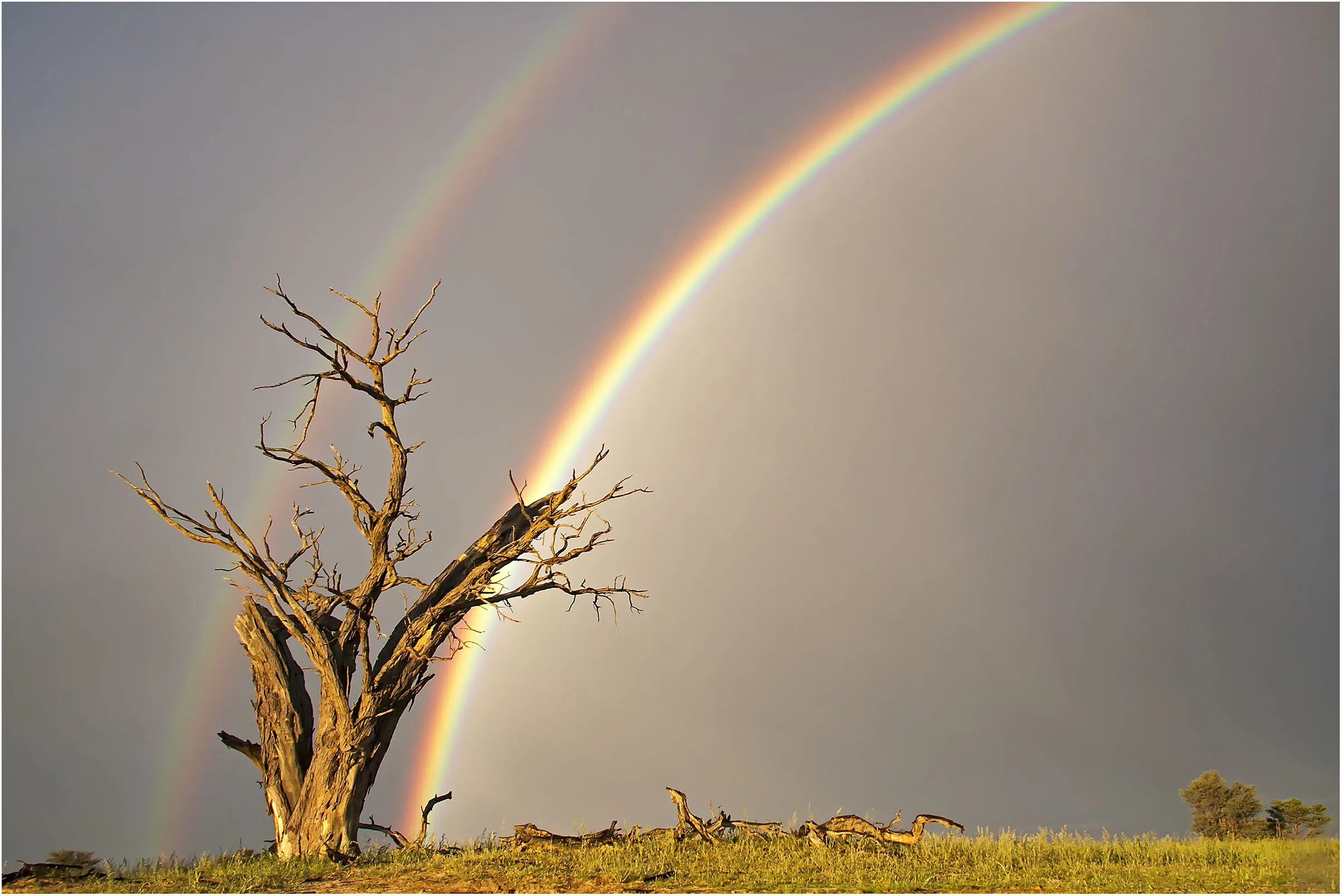 Kgalagadi rainbow