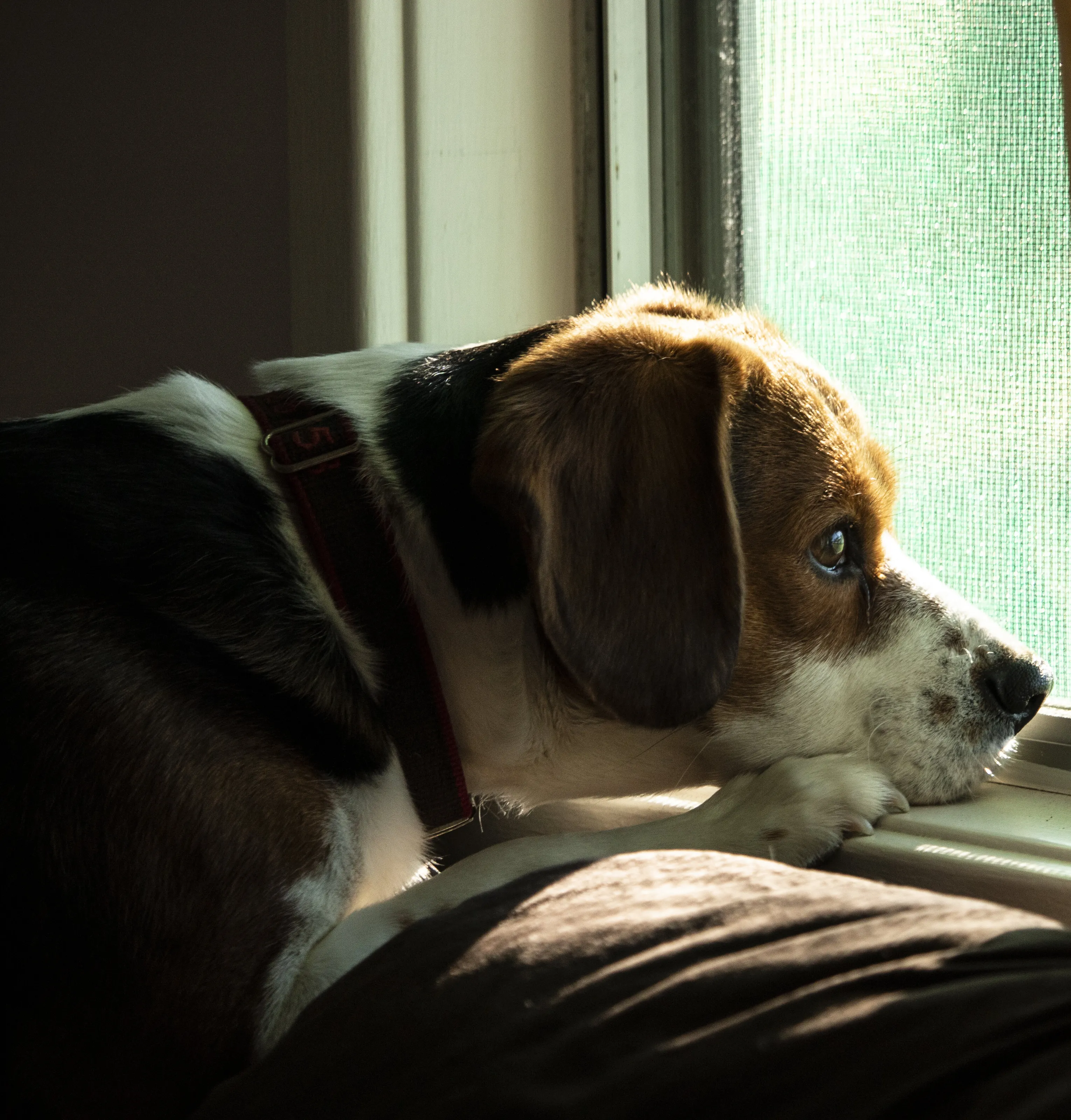 Just Waiting