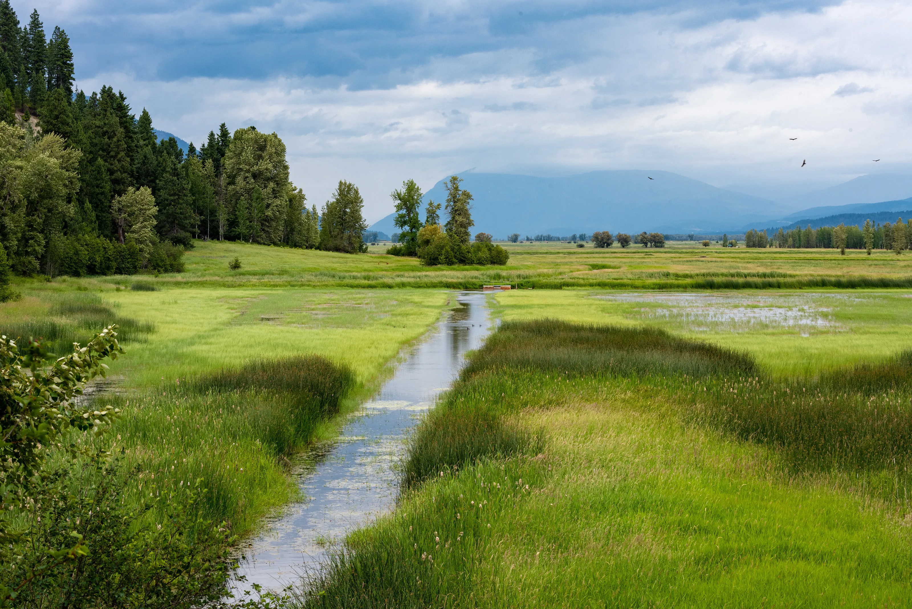 Over Deep Creek, Idaho