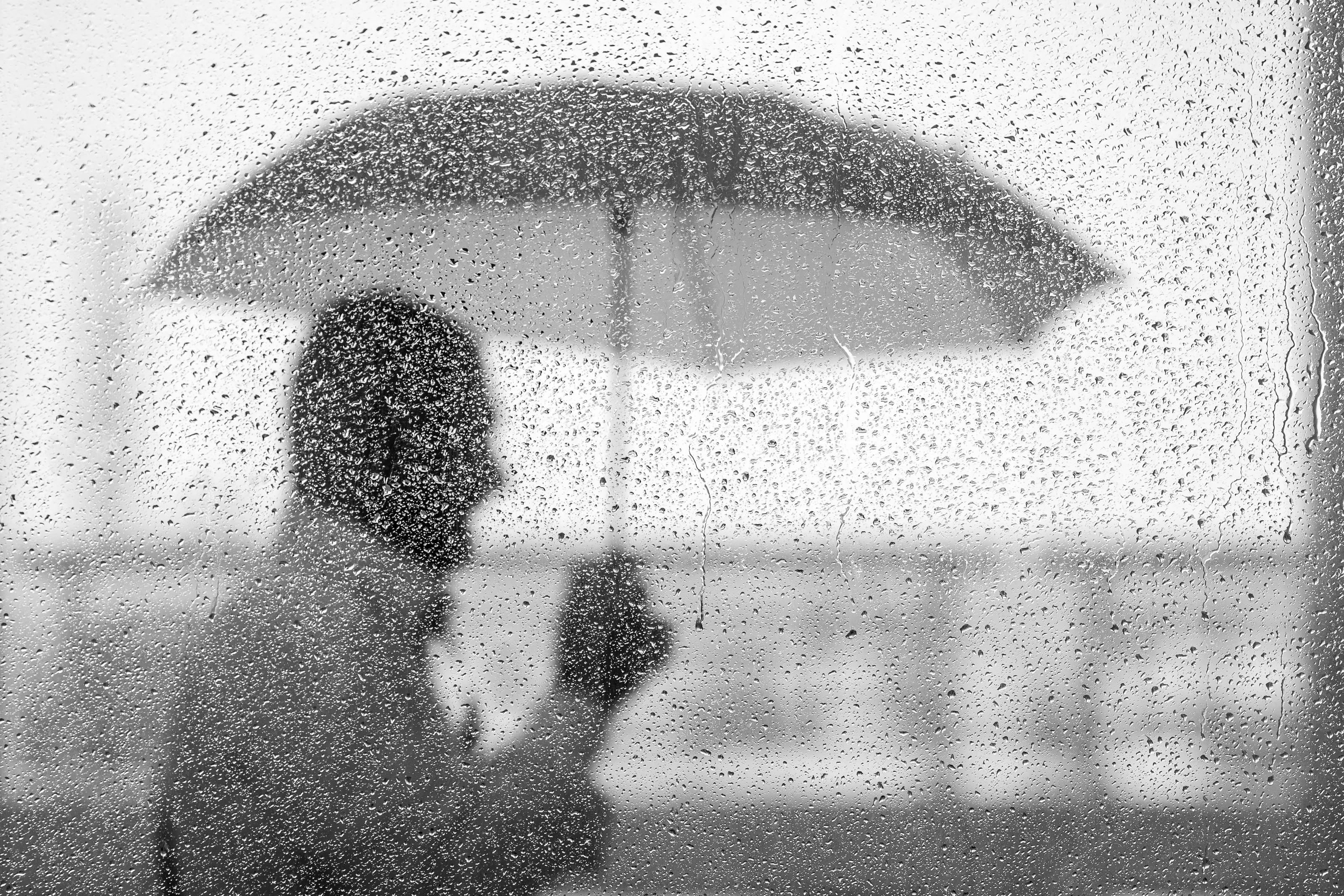 the umbrella